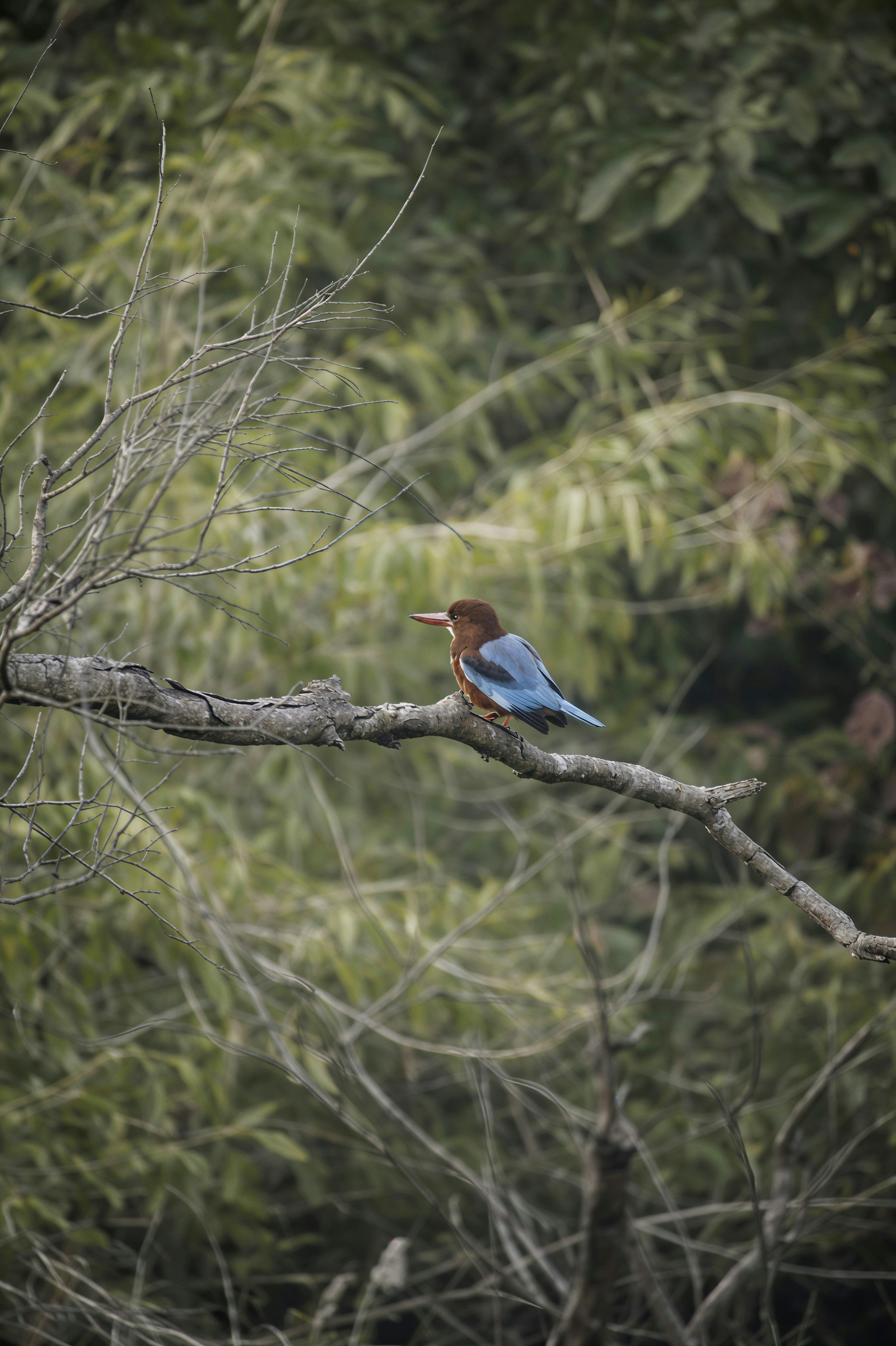 Photo by pixelsnap_visualz