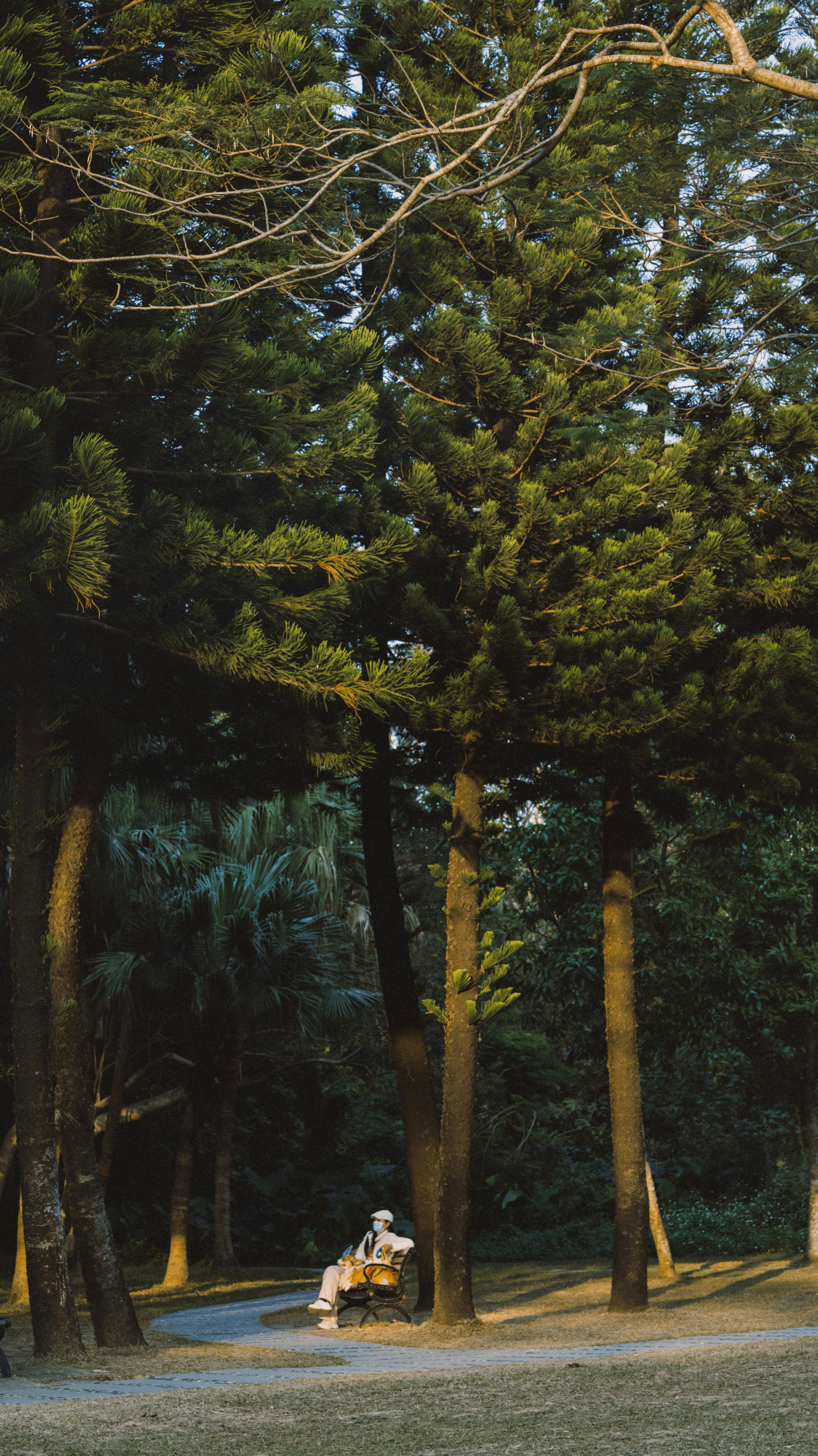 Photo by wangbinghua