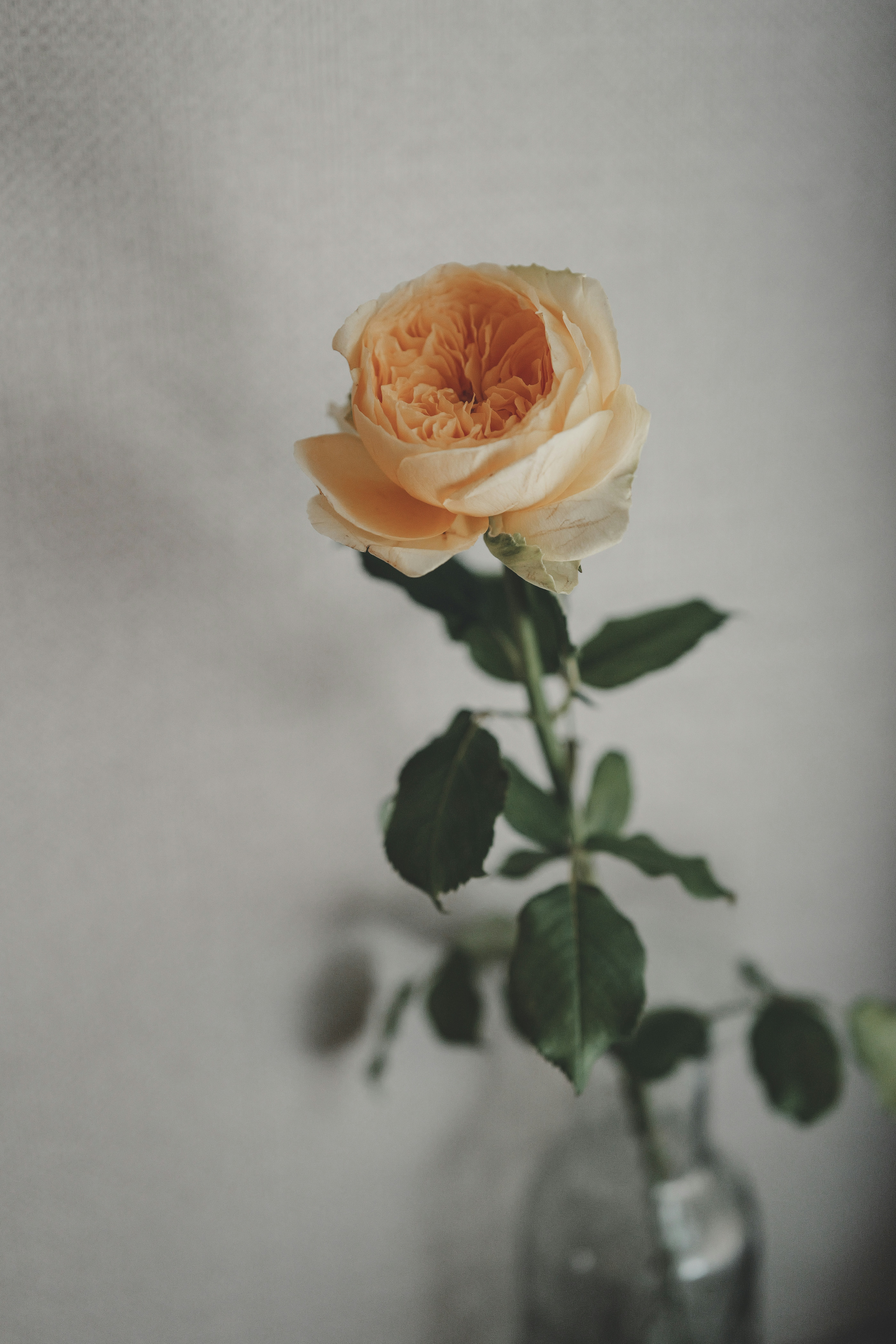 Photo by anyachernykh