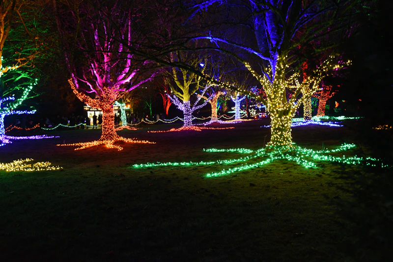 Tree Lighting