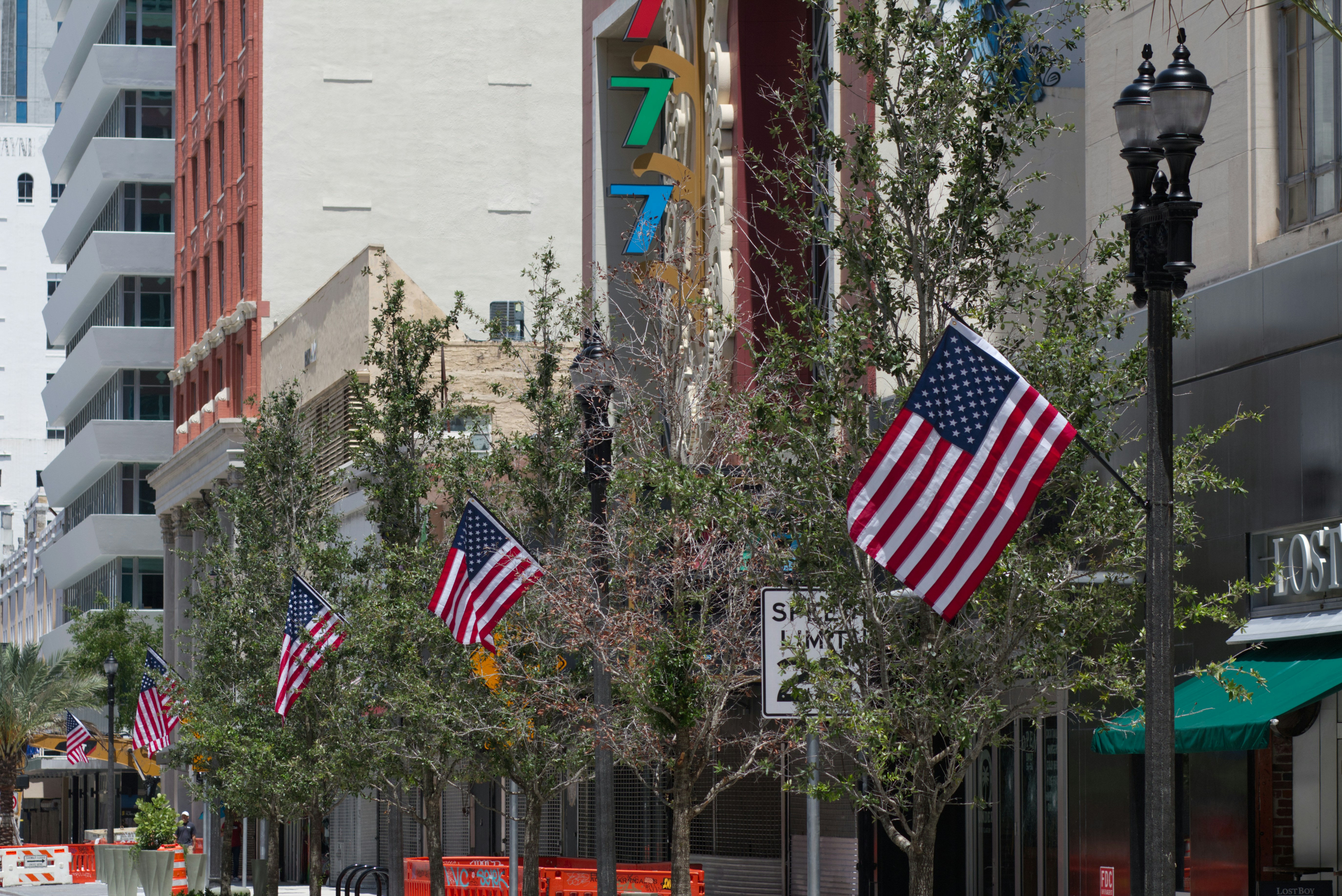 Banderas americanas bordean una calle de la ciudad con árboles.