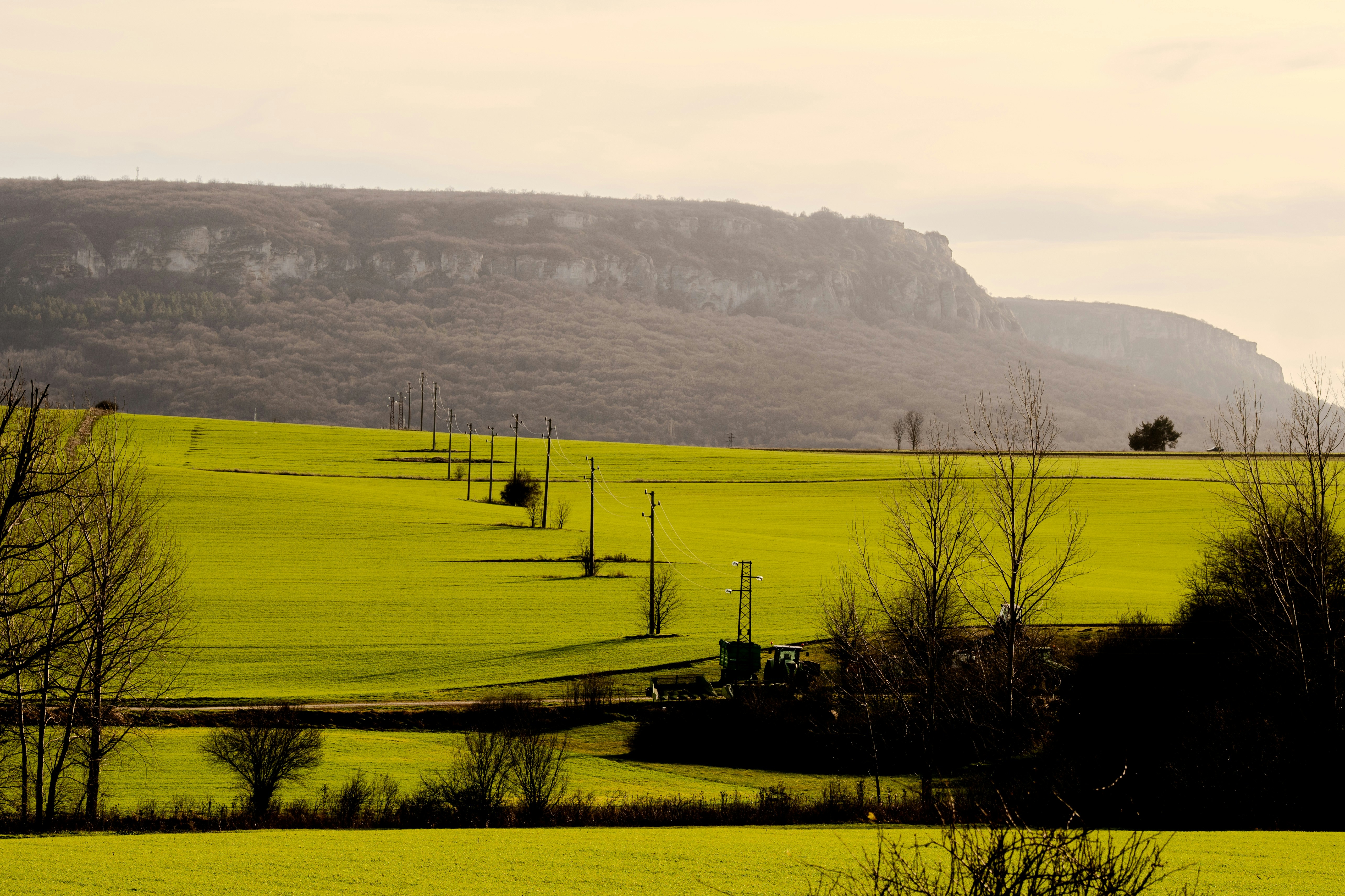 Photo by viktordanov