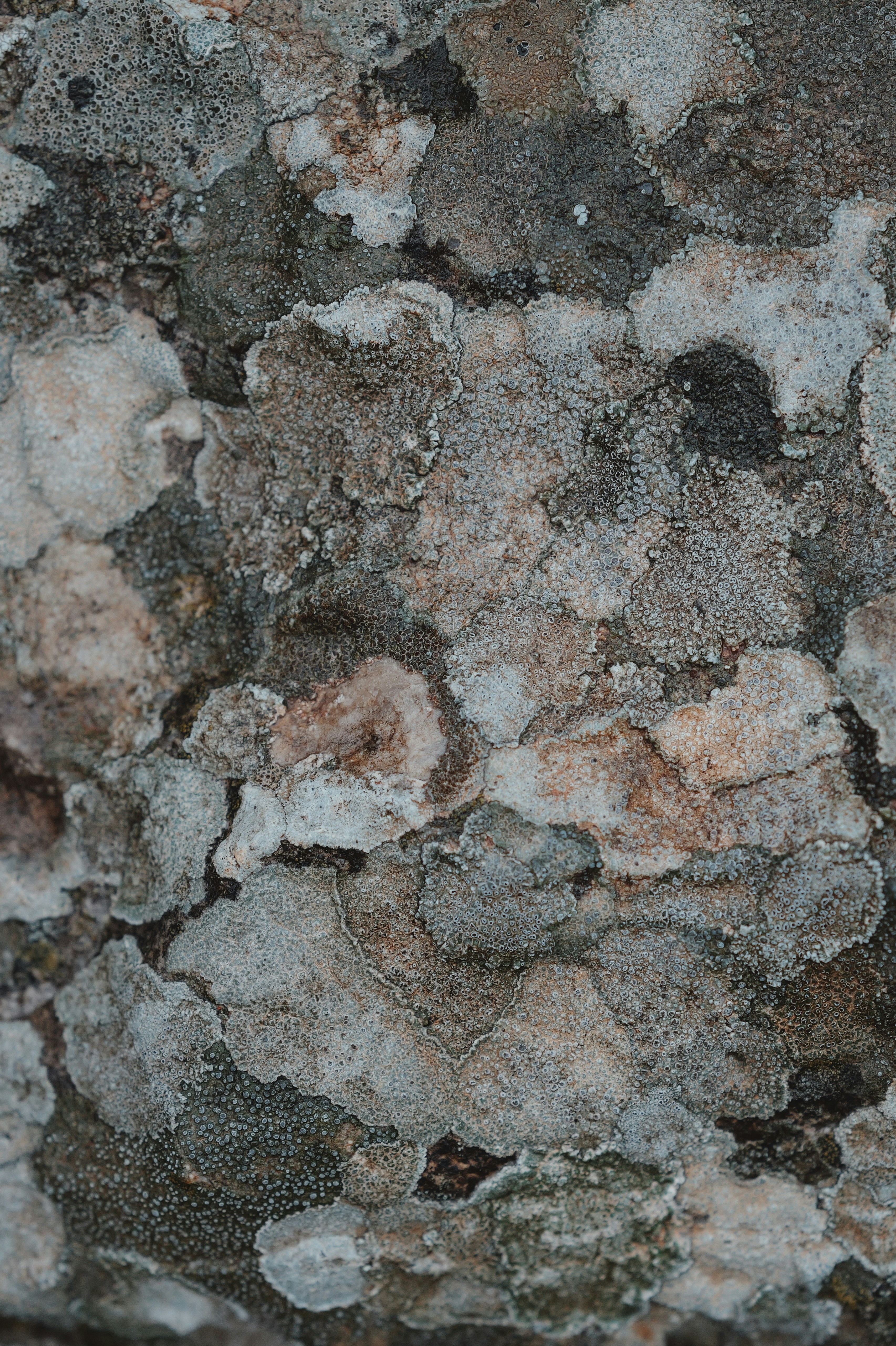 Photo by anyachernykh