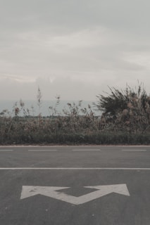 Road with arrows pointing in two directions