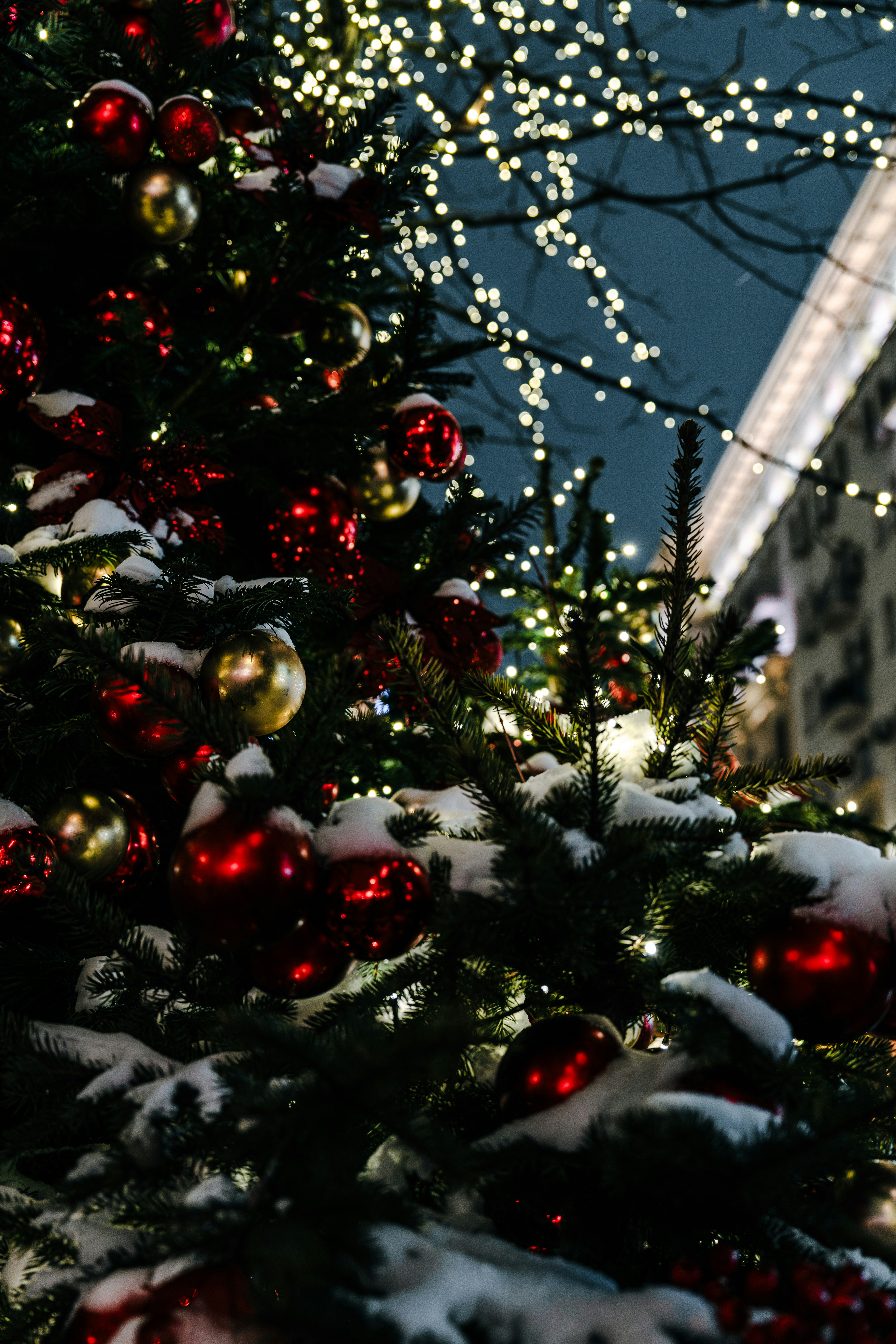 Decorated christmas tree with red and gold ornaments
