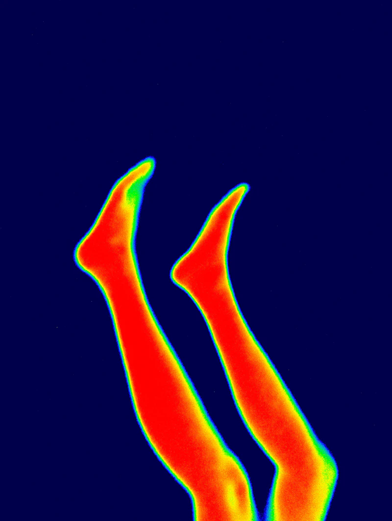 IR Thermometer and FLIR Thermal Imager