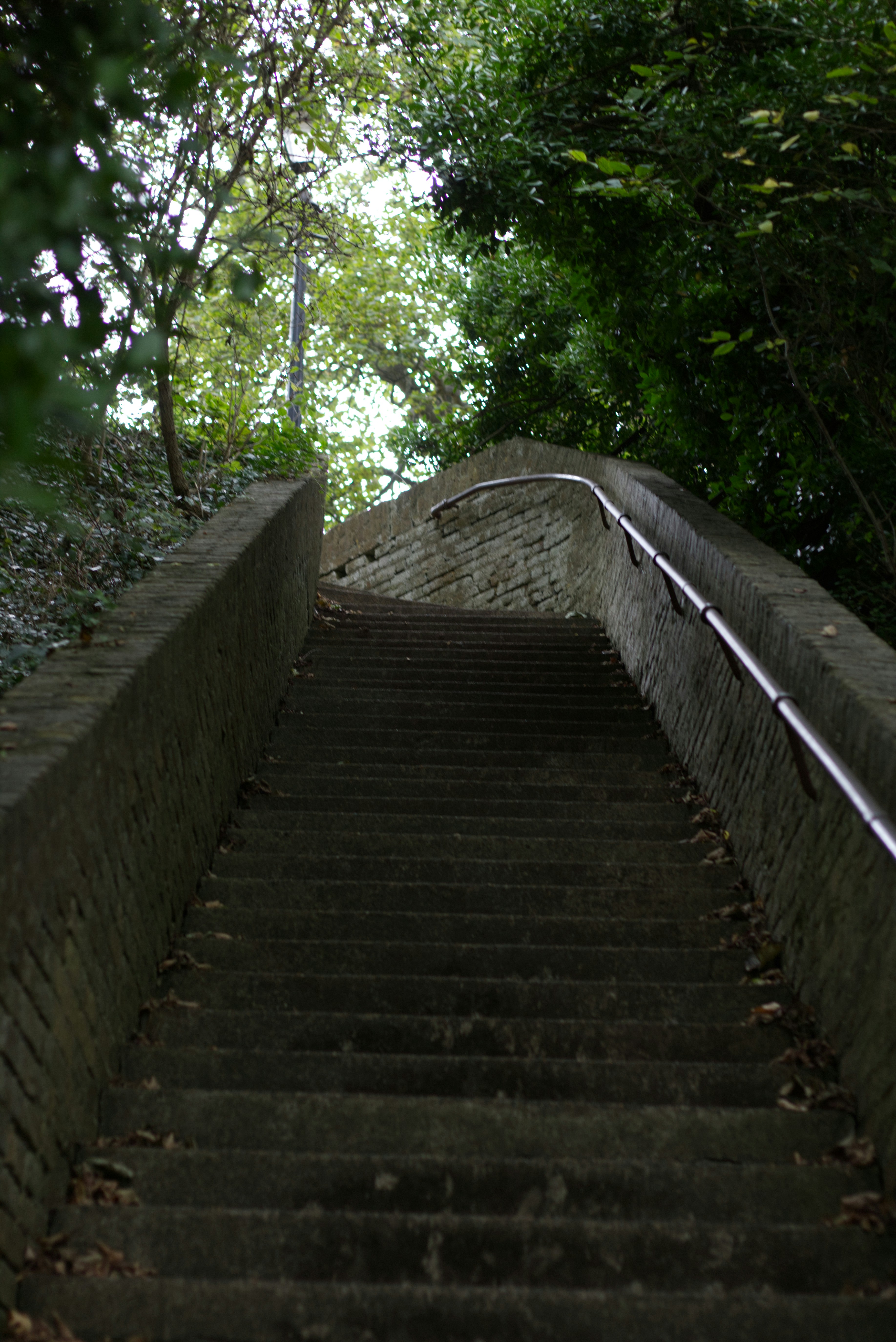Stone stairs ascend through a lush green forest.