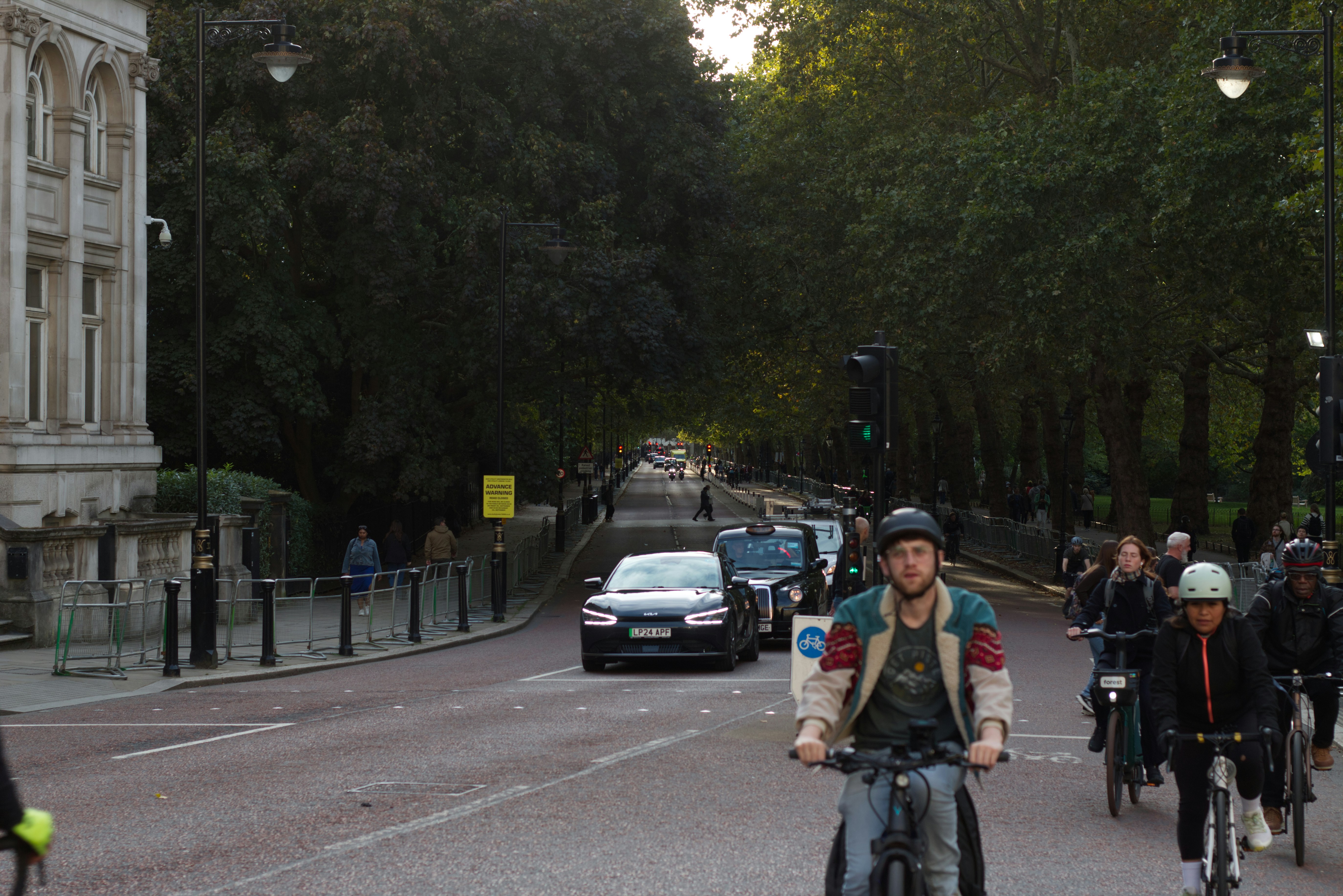 Cyclists ride down a tree-lined street with cars.