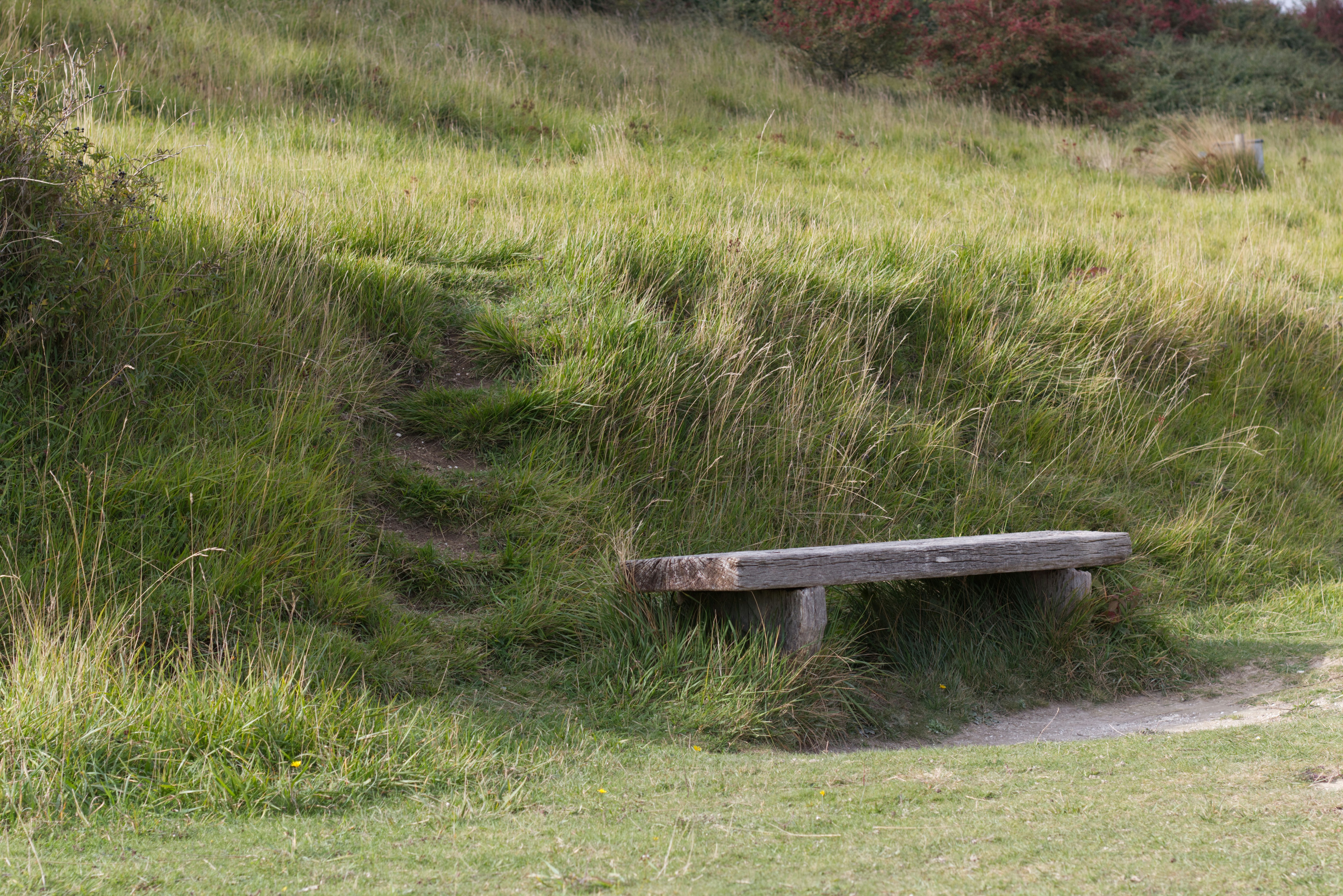 A wooden bench sits beside a grassy hill.