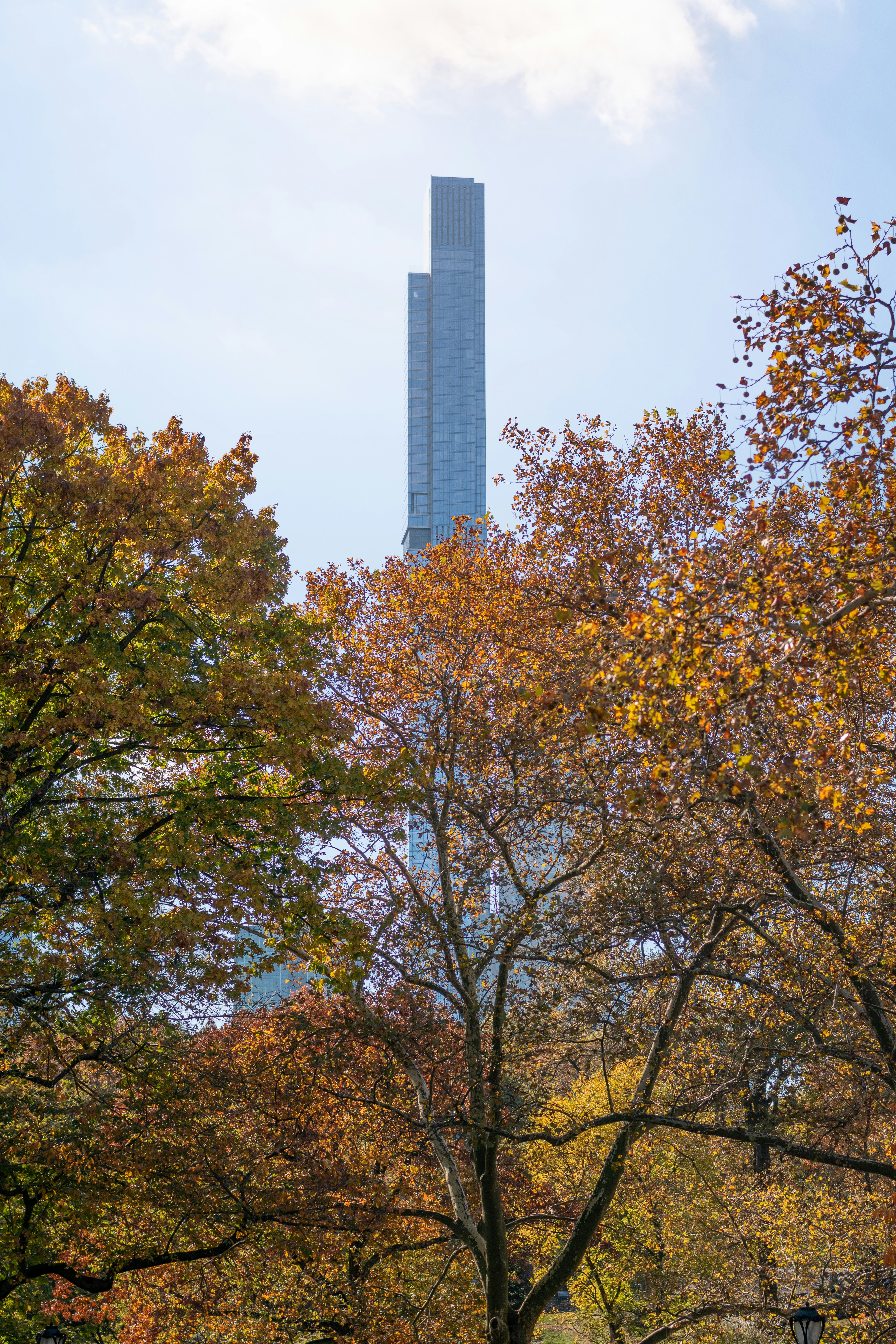 Skyscraper behind autumn trees in central park