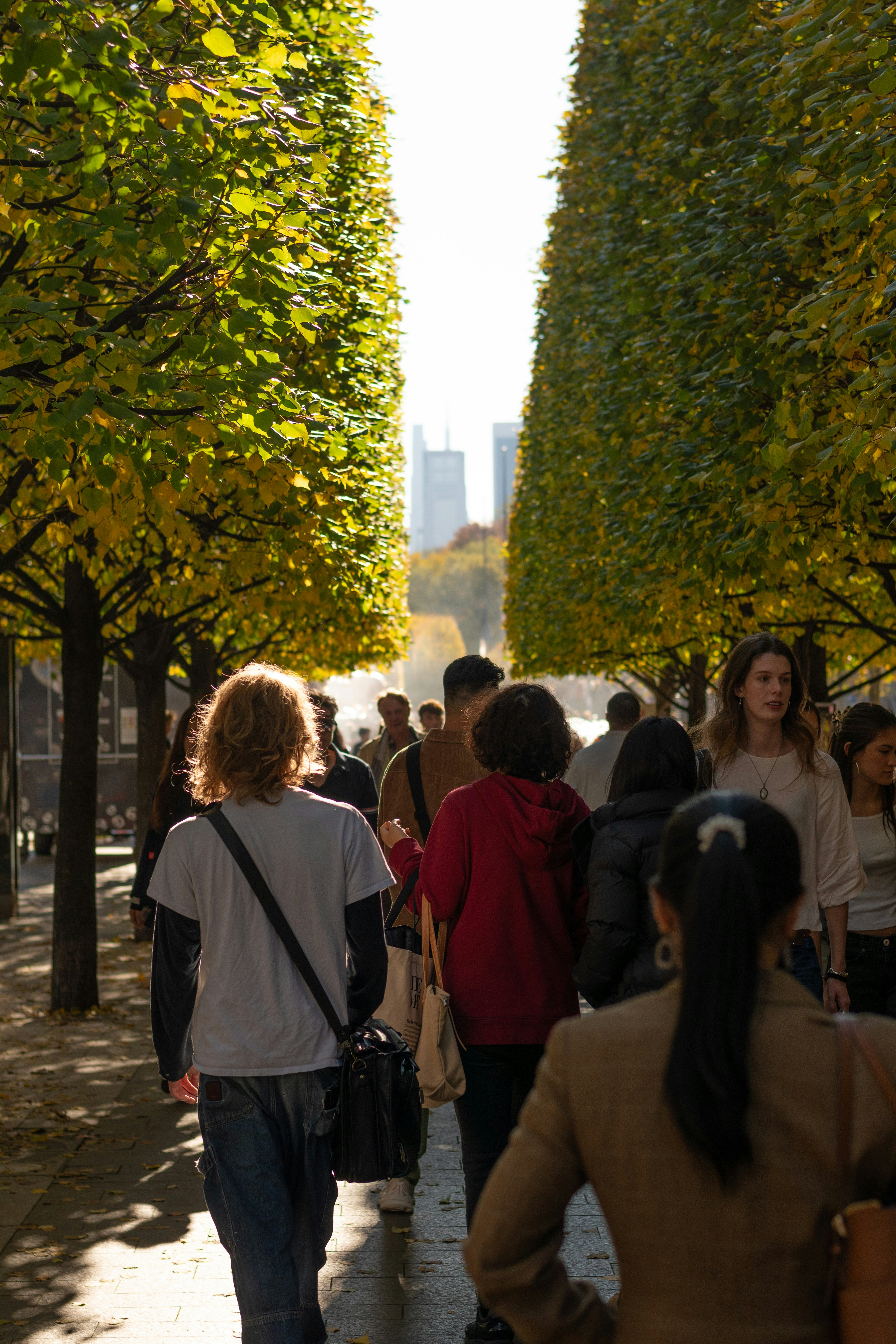 People walking down a tree-lined path in autumn.