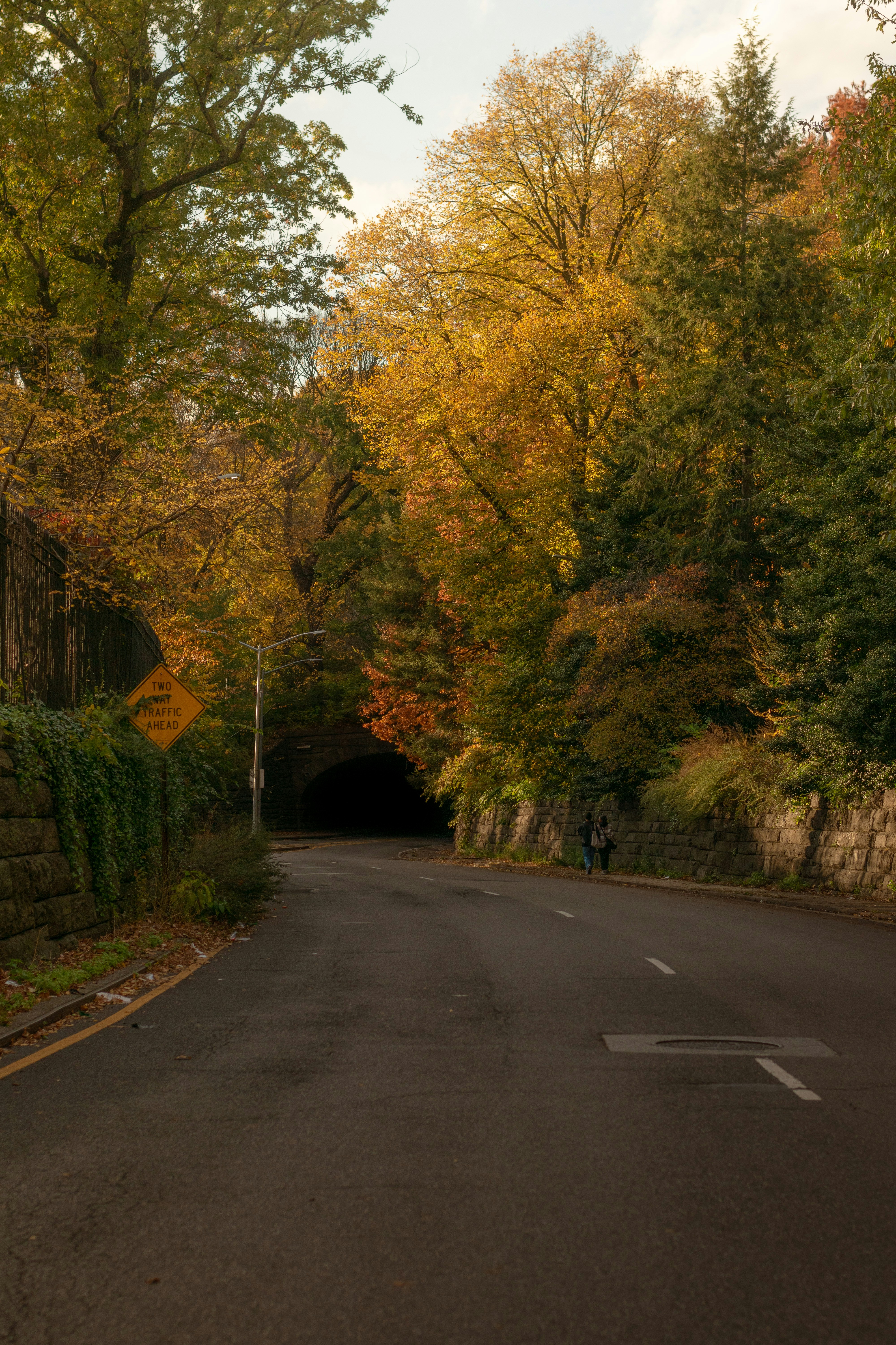 Road leading into a dark tunnel surrounded by autumn trees