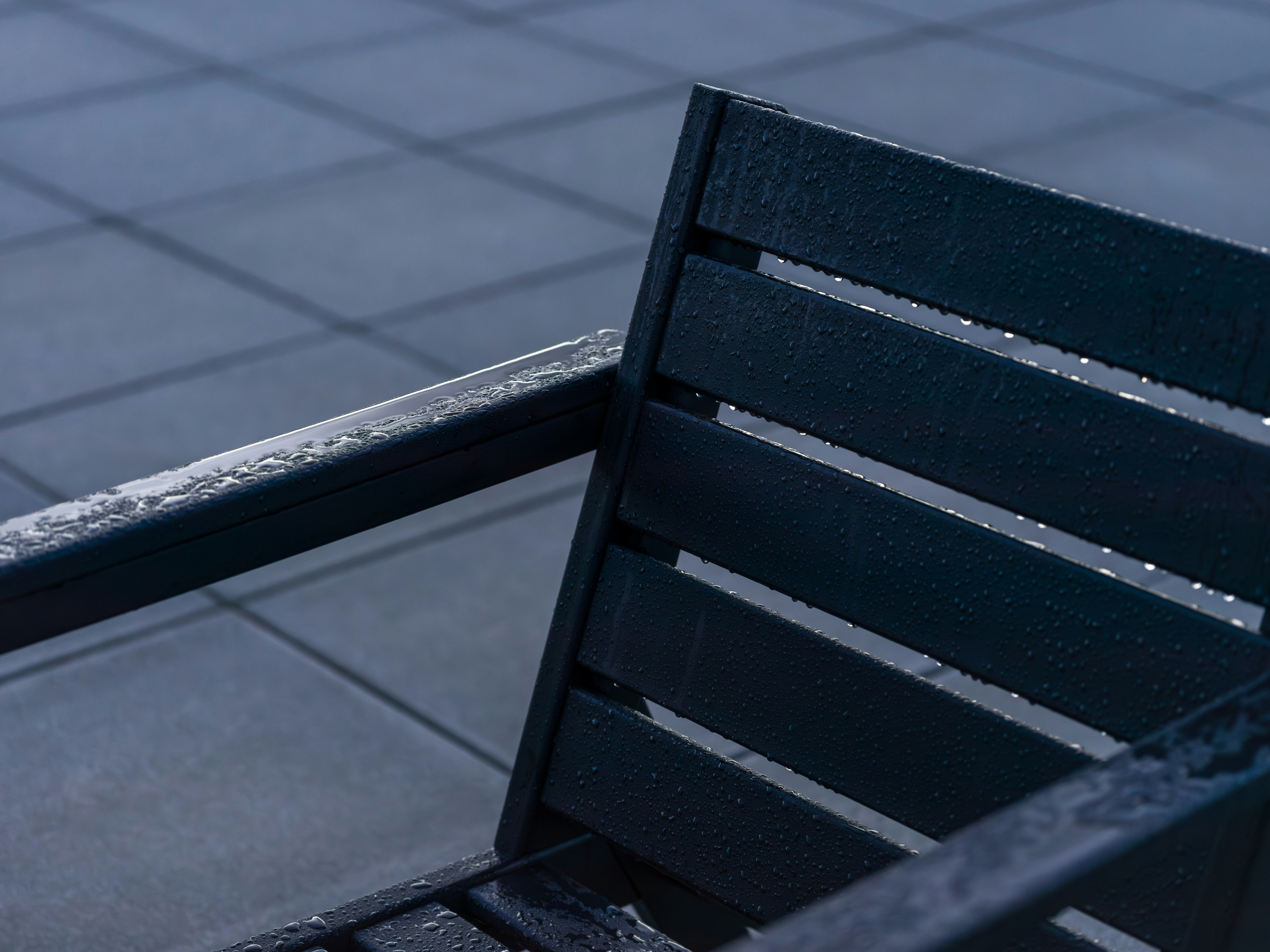 어두운 나무 벤치에 물방울이 묻어 있었다.