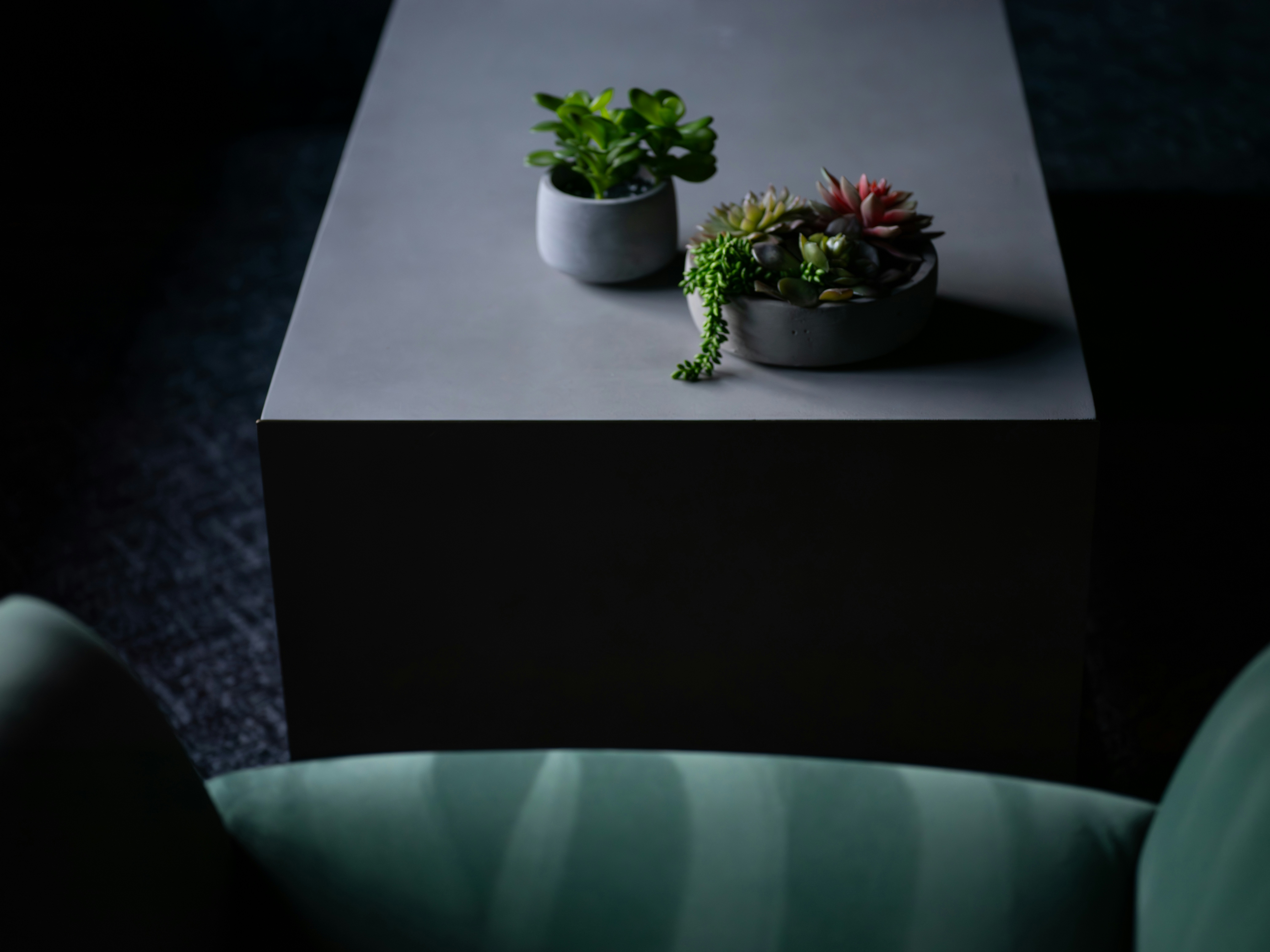 어두운 탁자 위에 화분 두 개.