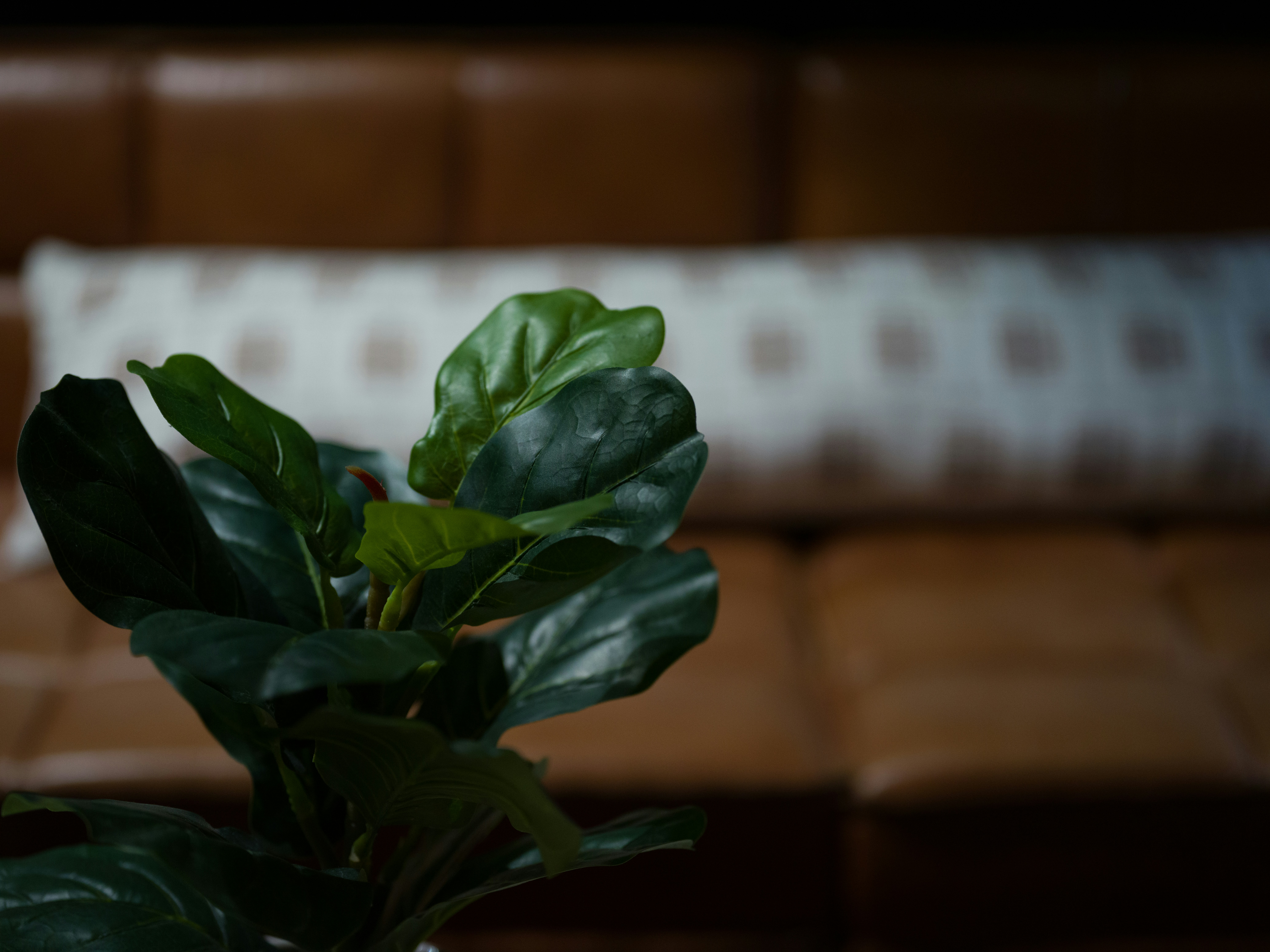 Photo by kierinsightarchives