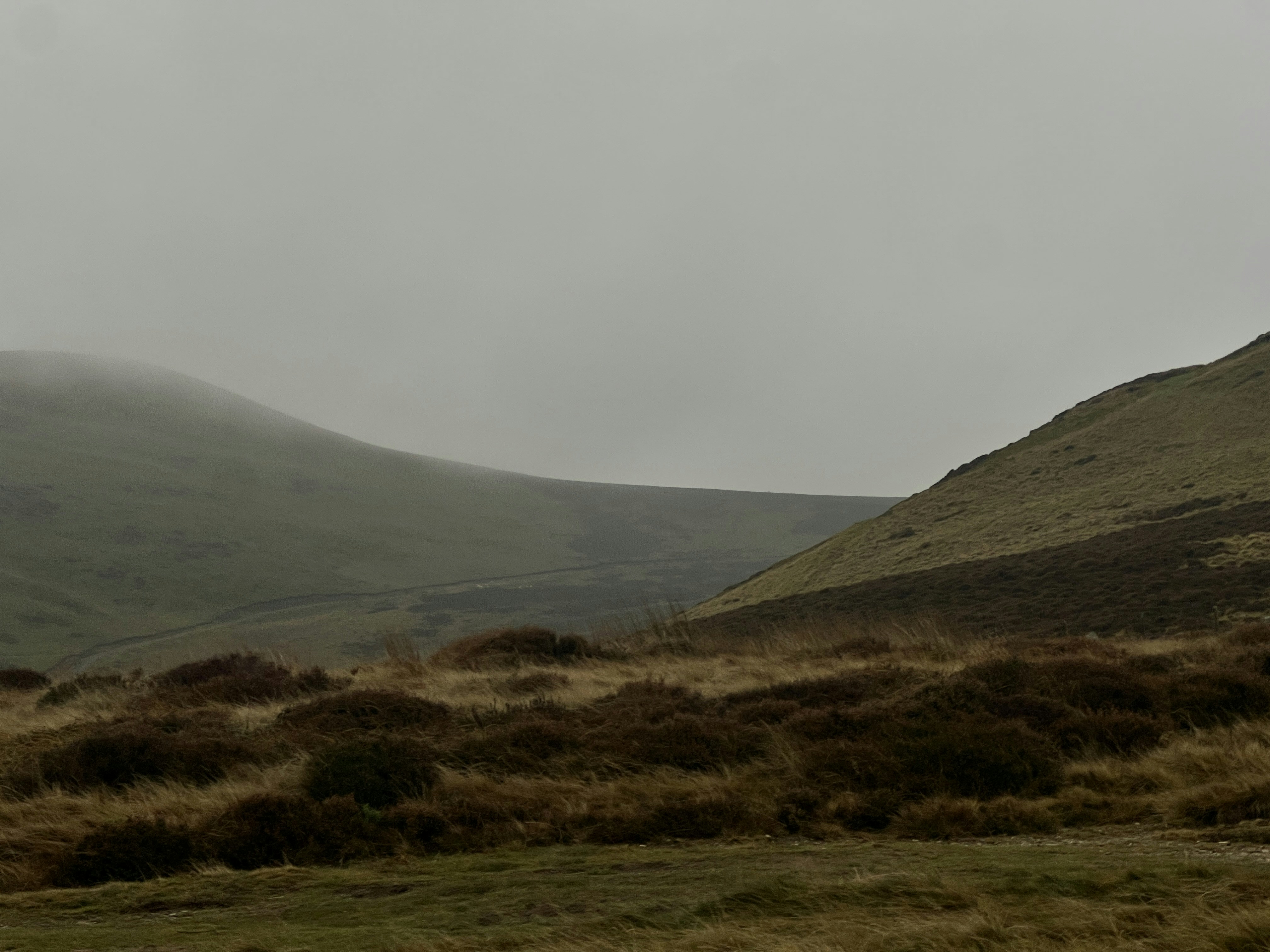 Photo by moritz_photography