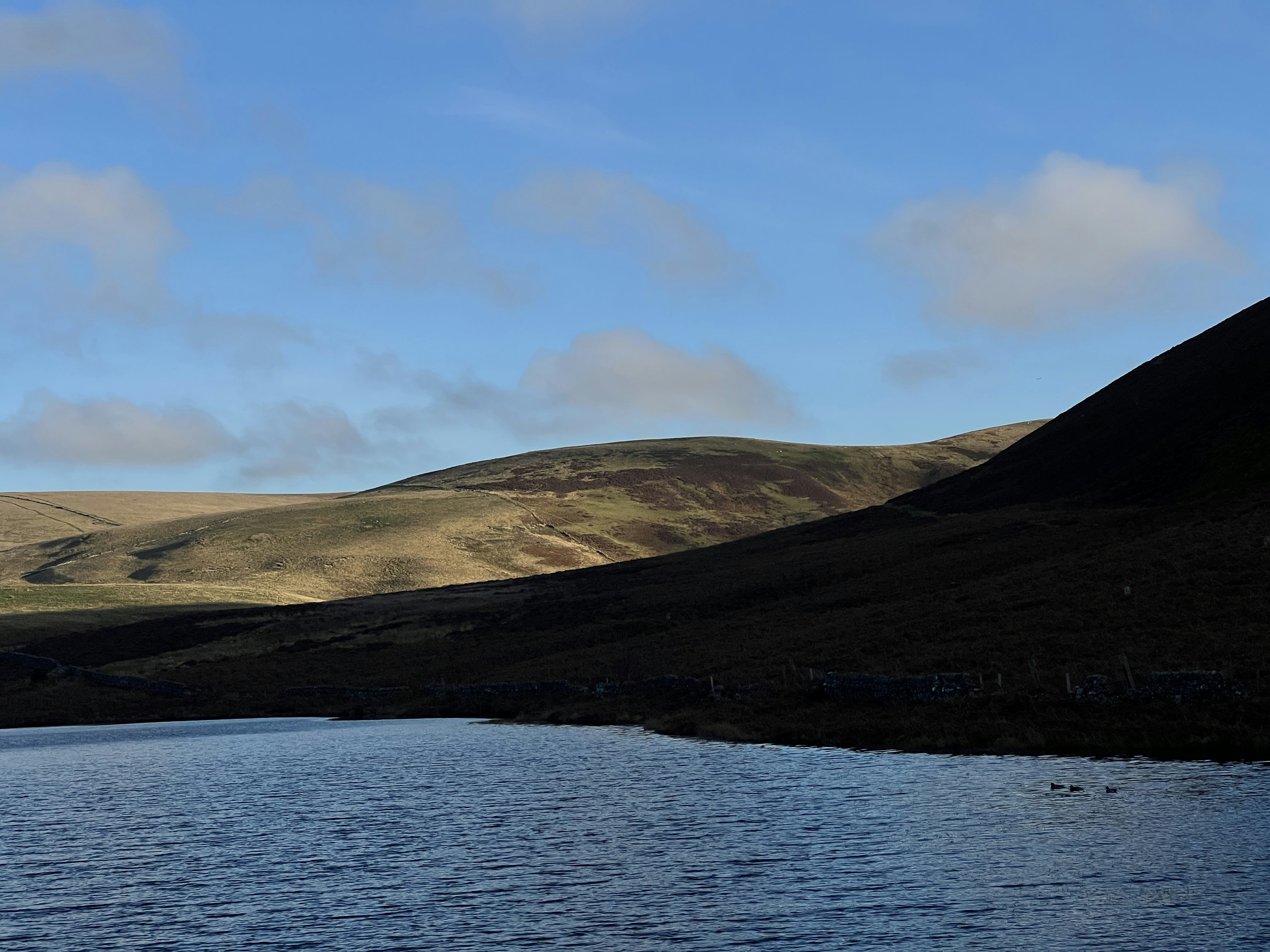 Photo by moritz_photography