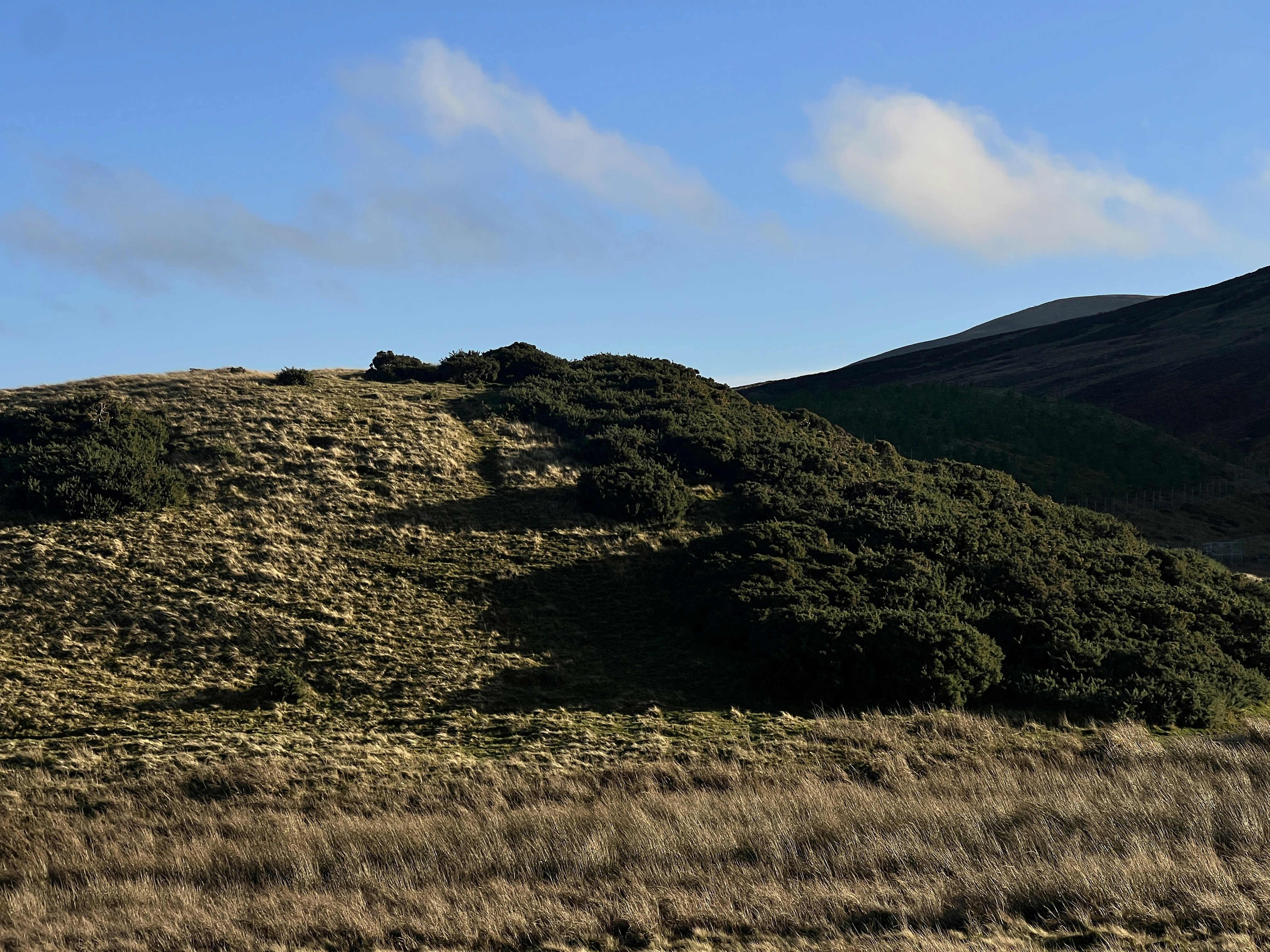 Photo by moritz_photography