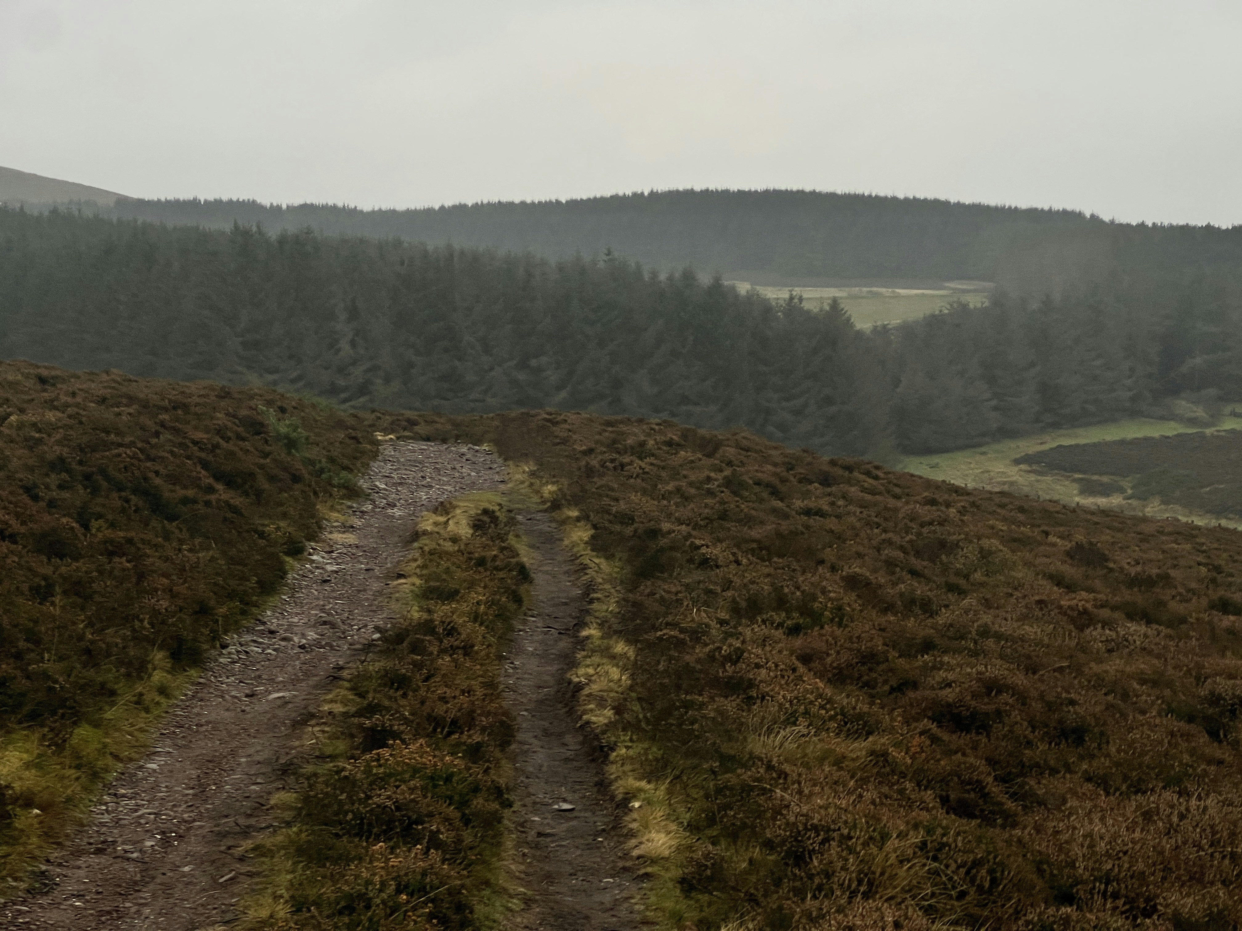 Photo by moritz_photography