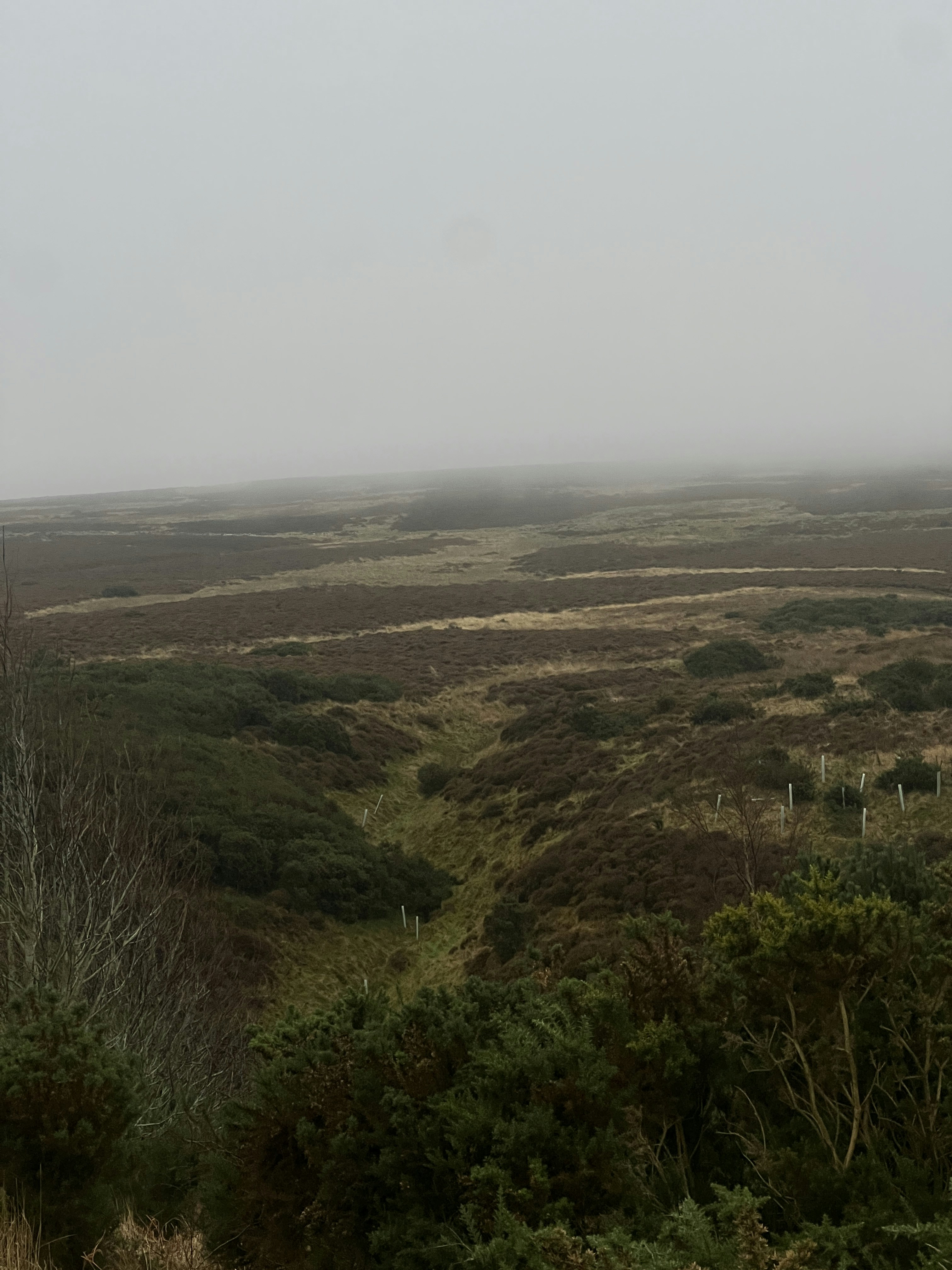 Photo by moritz_photography