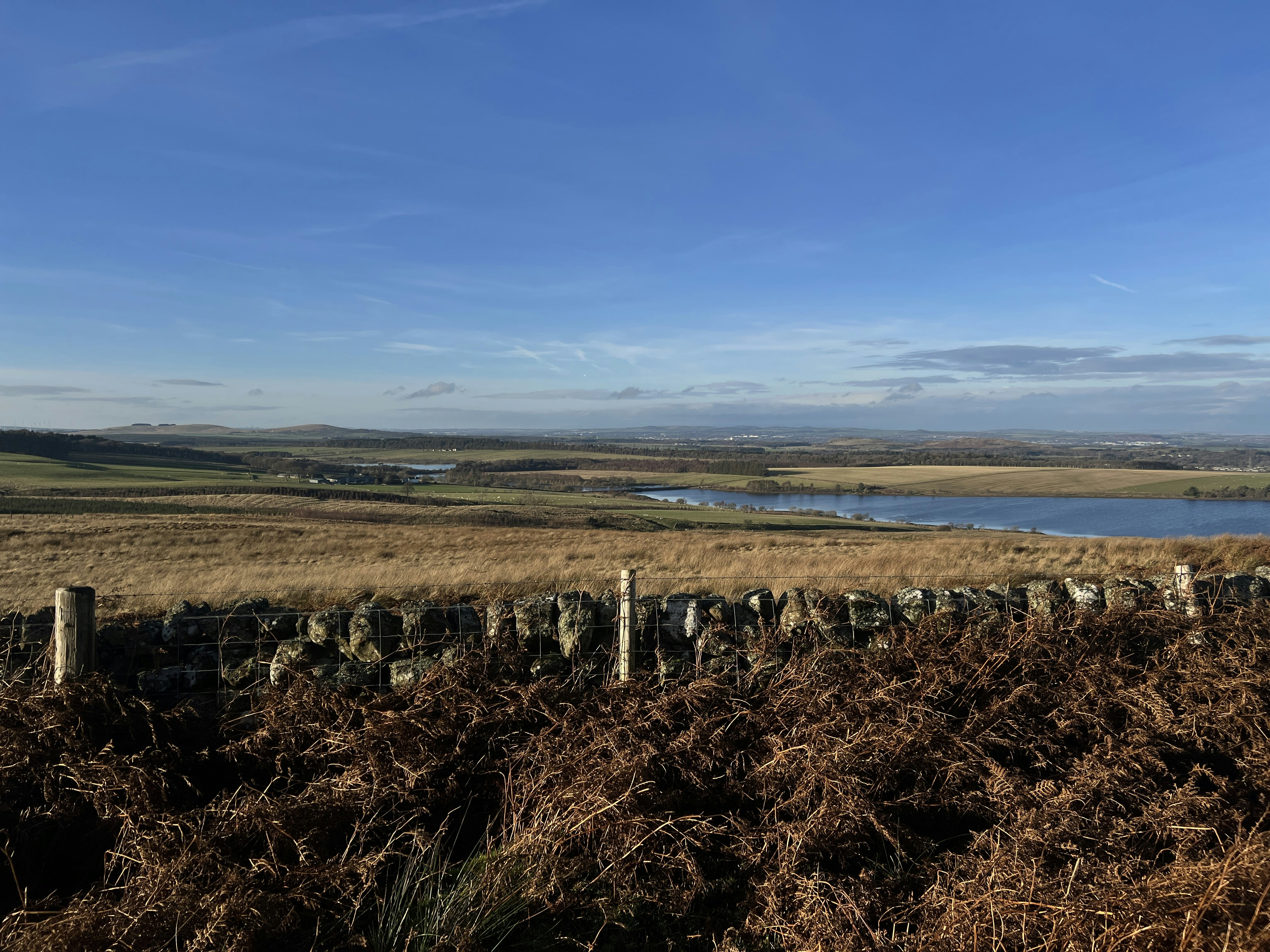 Photo by moritz_photography