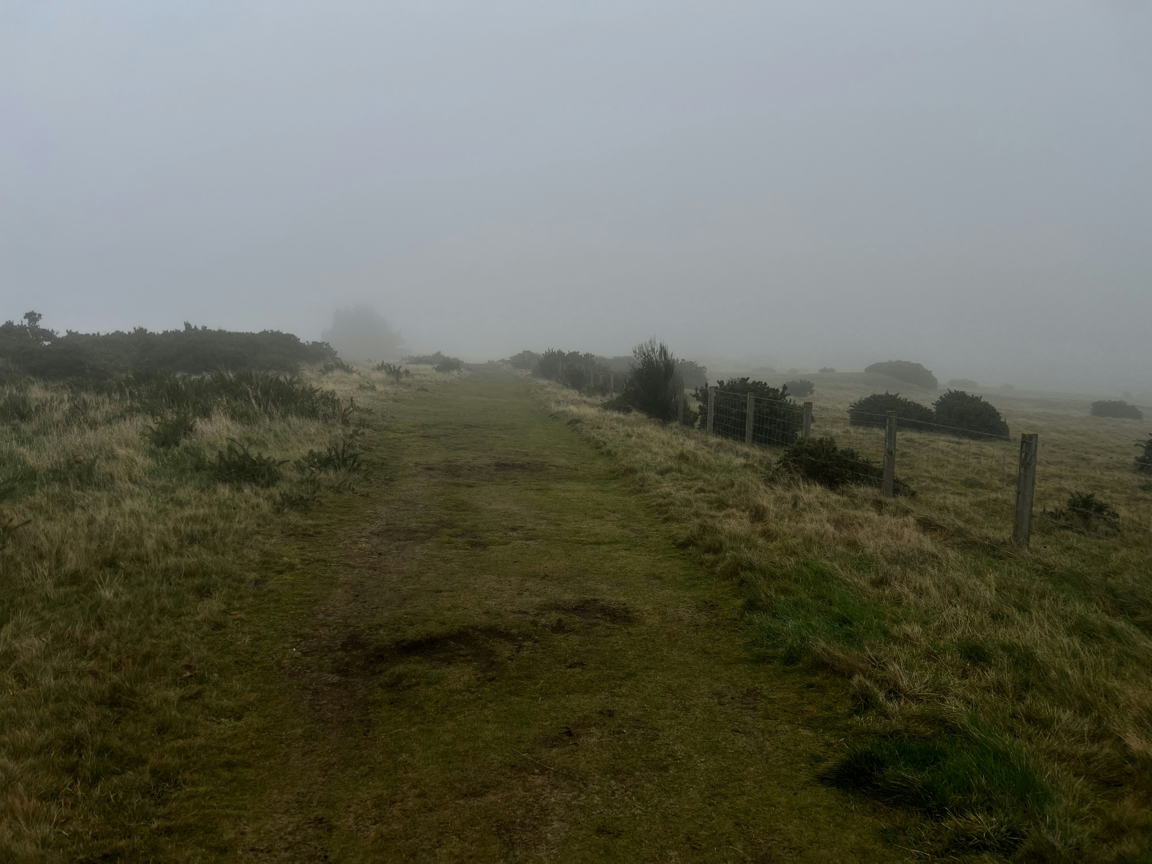 Photo by moritz_photography