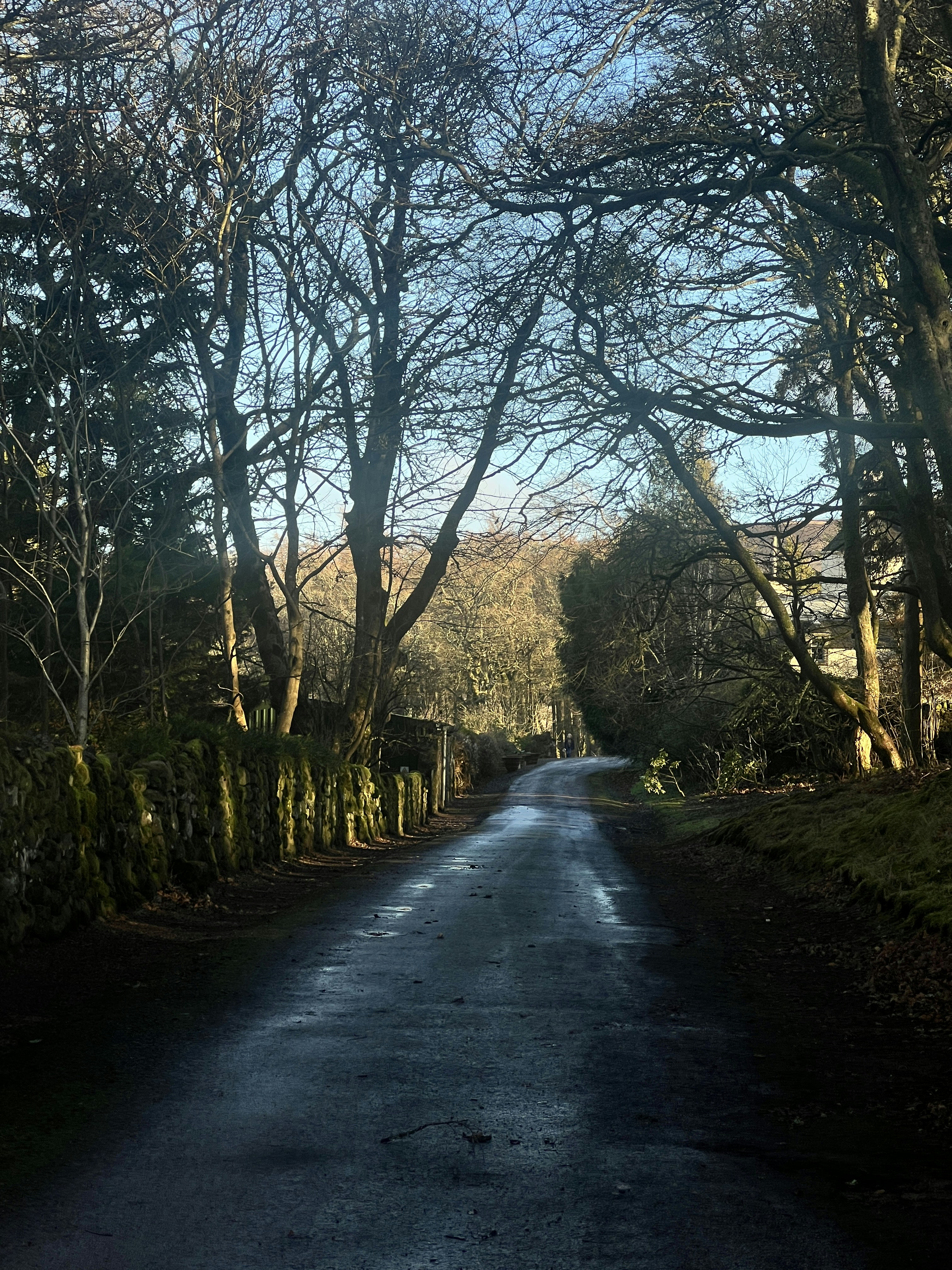 Photo by moritz_photography