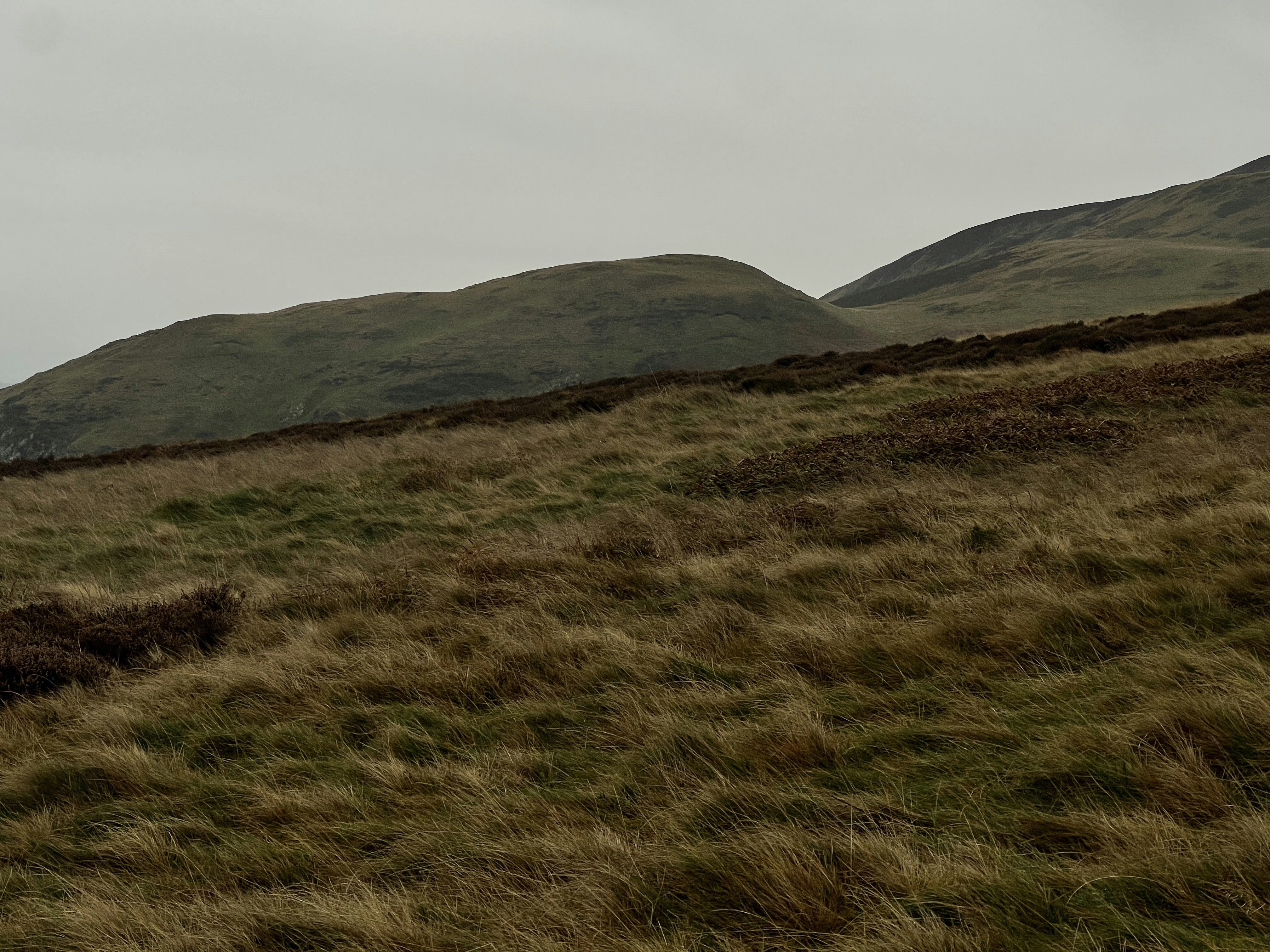 Photo by moritz_photography