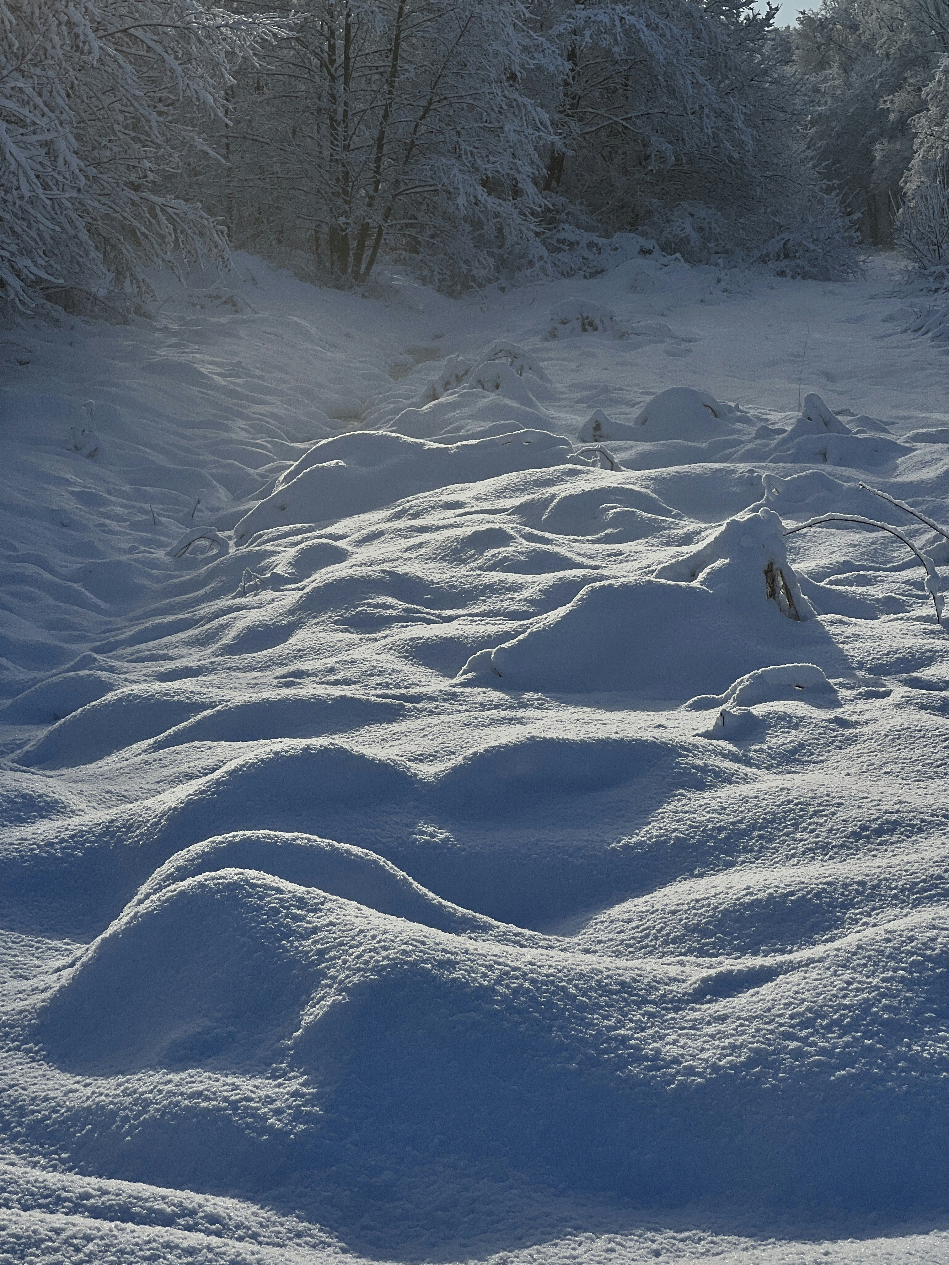 Photo by moritz_photography