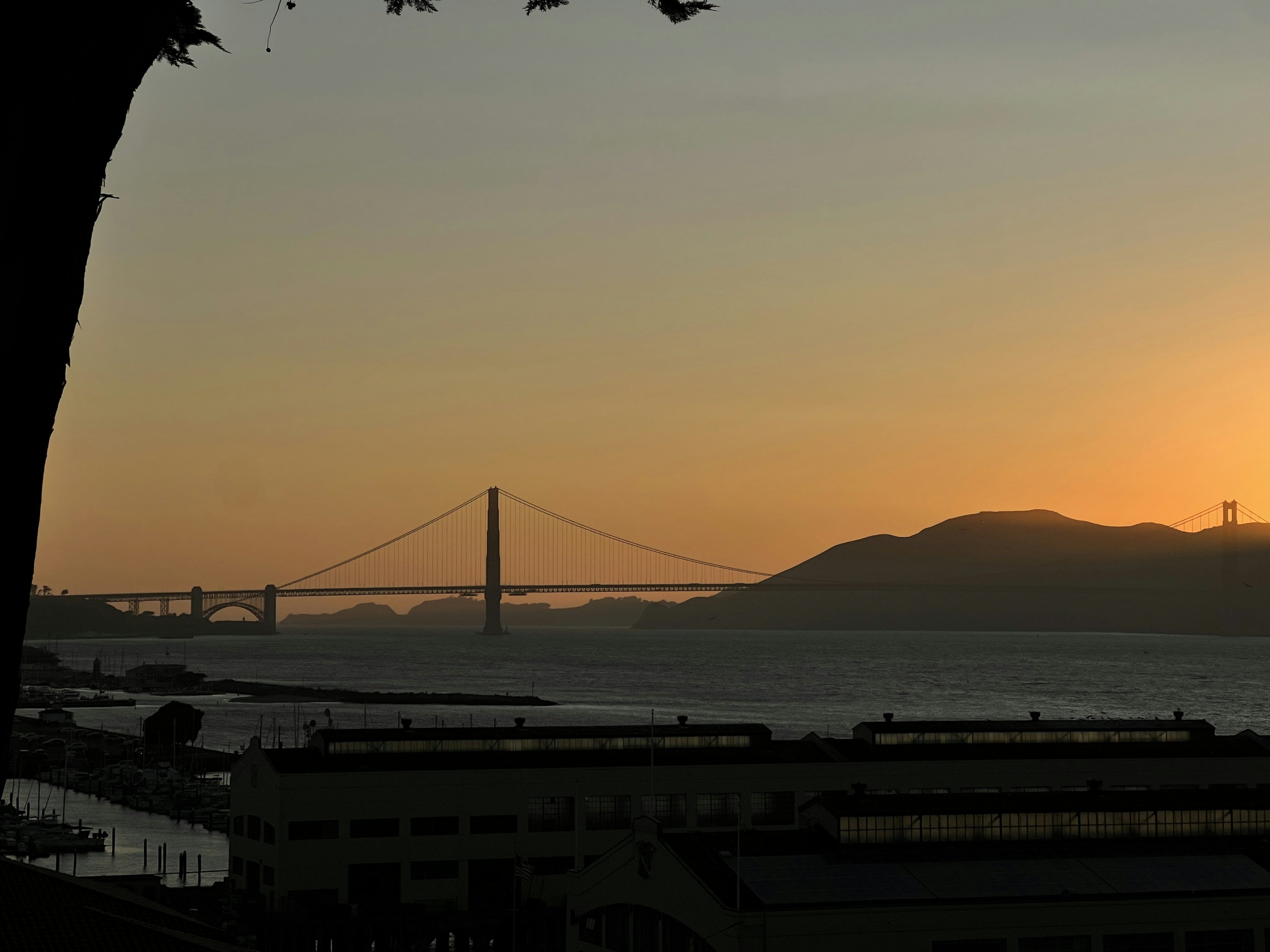 Photo by moritz_photography