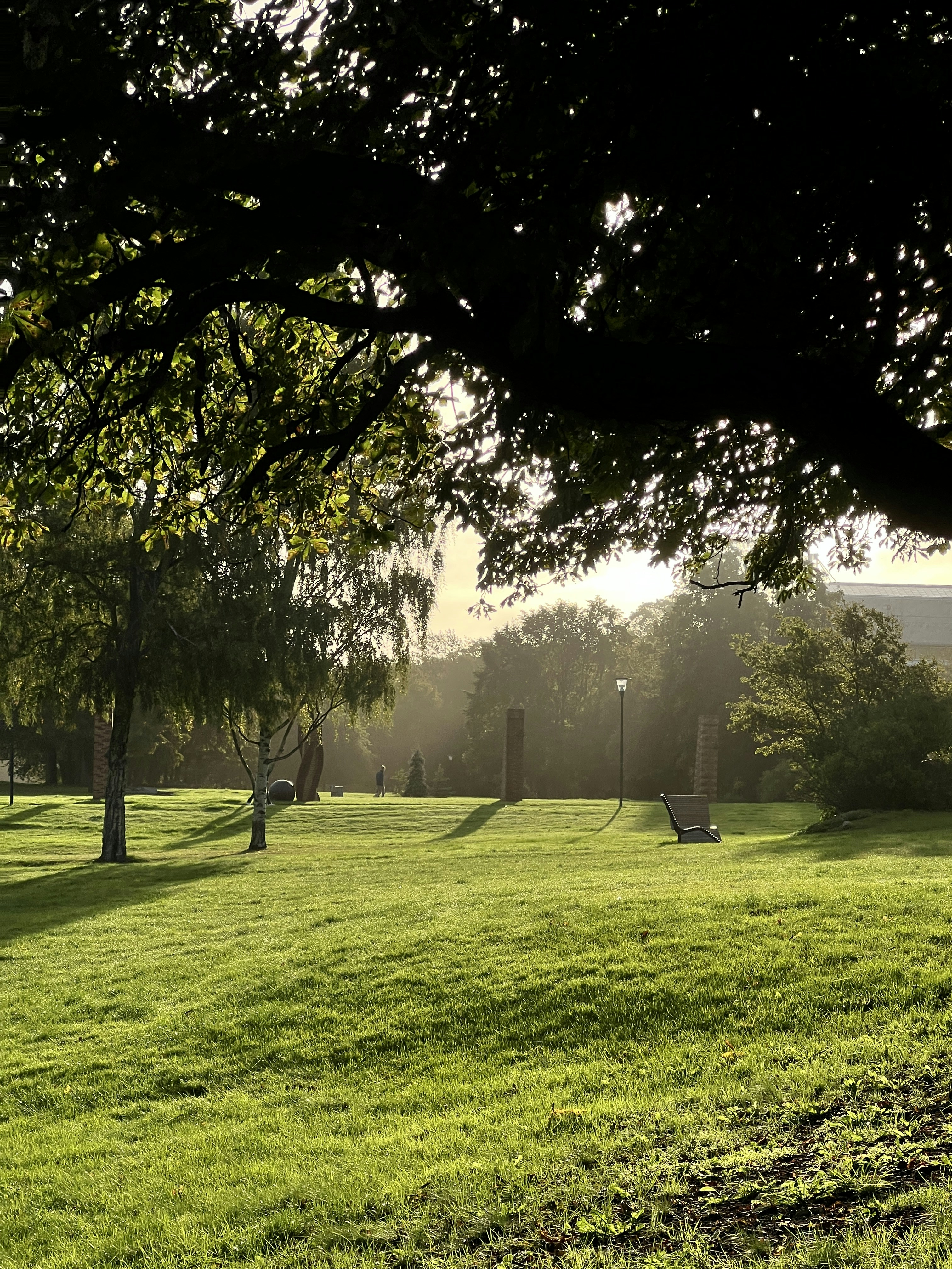 Photo by moritz_photography