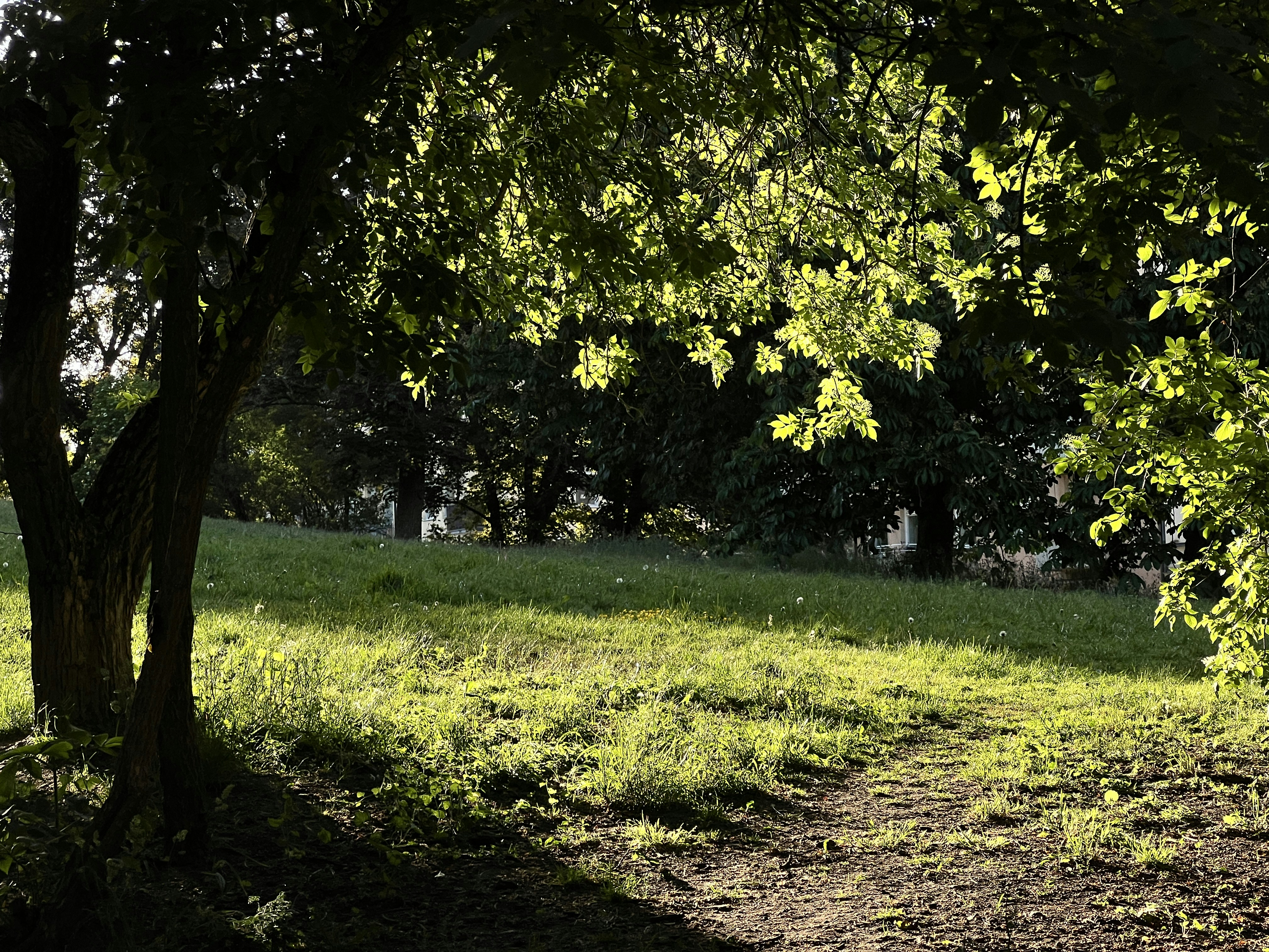 Photo by moritz_photography