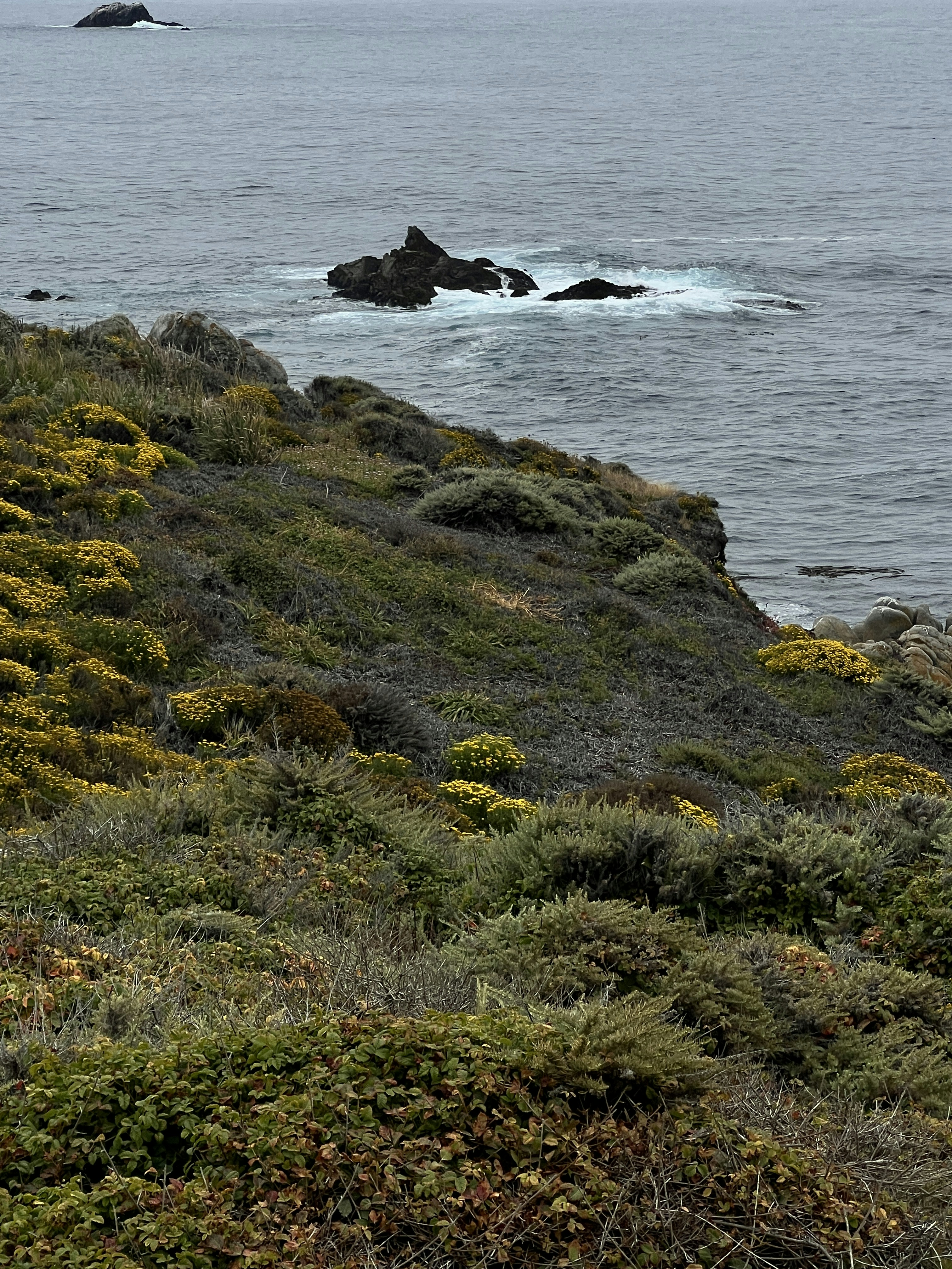 Photo by moritz_photography