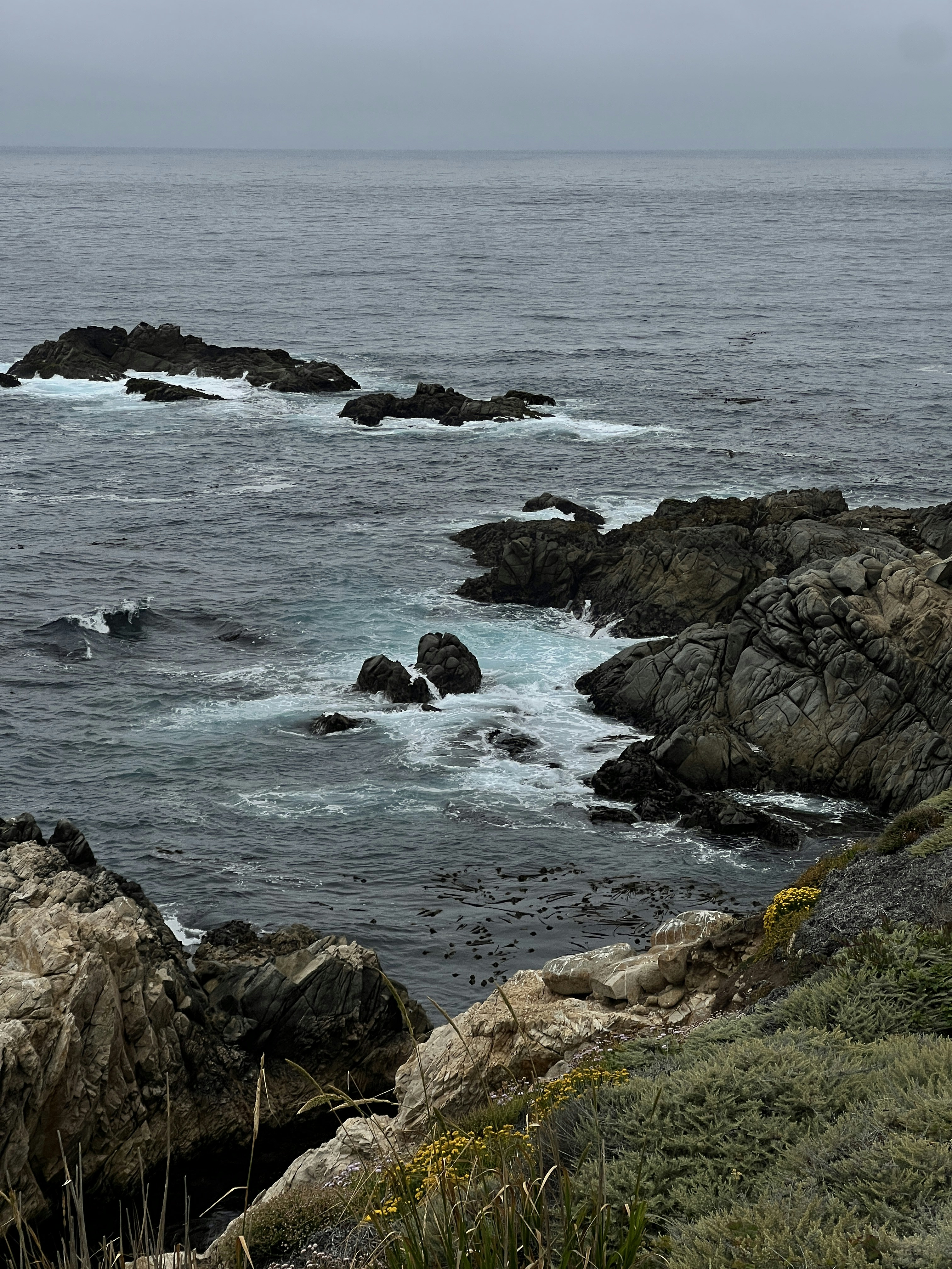 Photo by moritz_photography