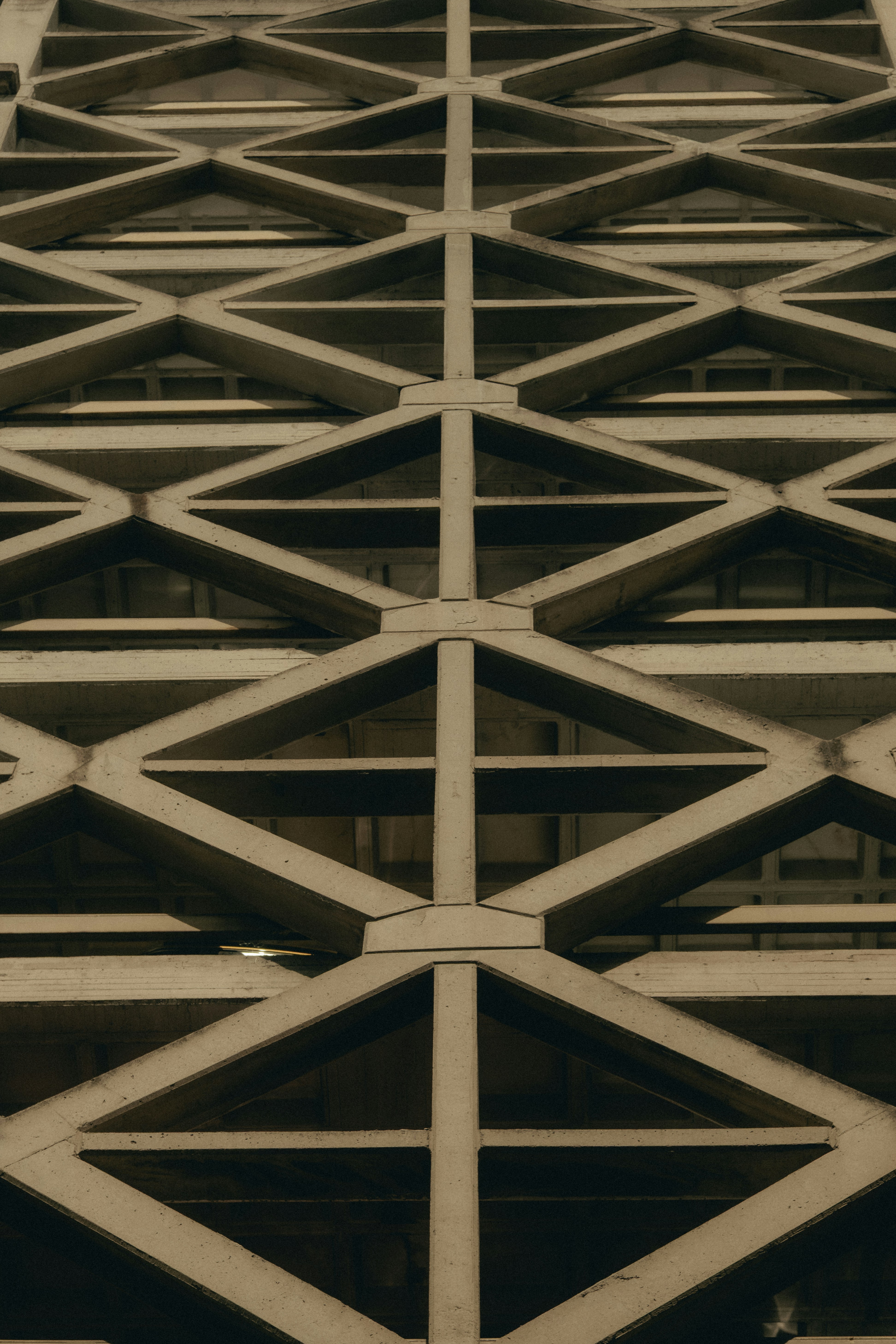 Photo by angelmalrey