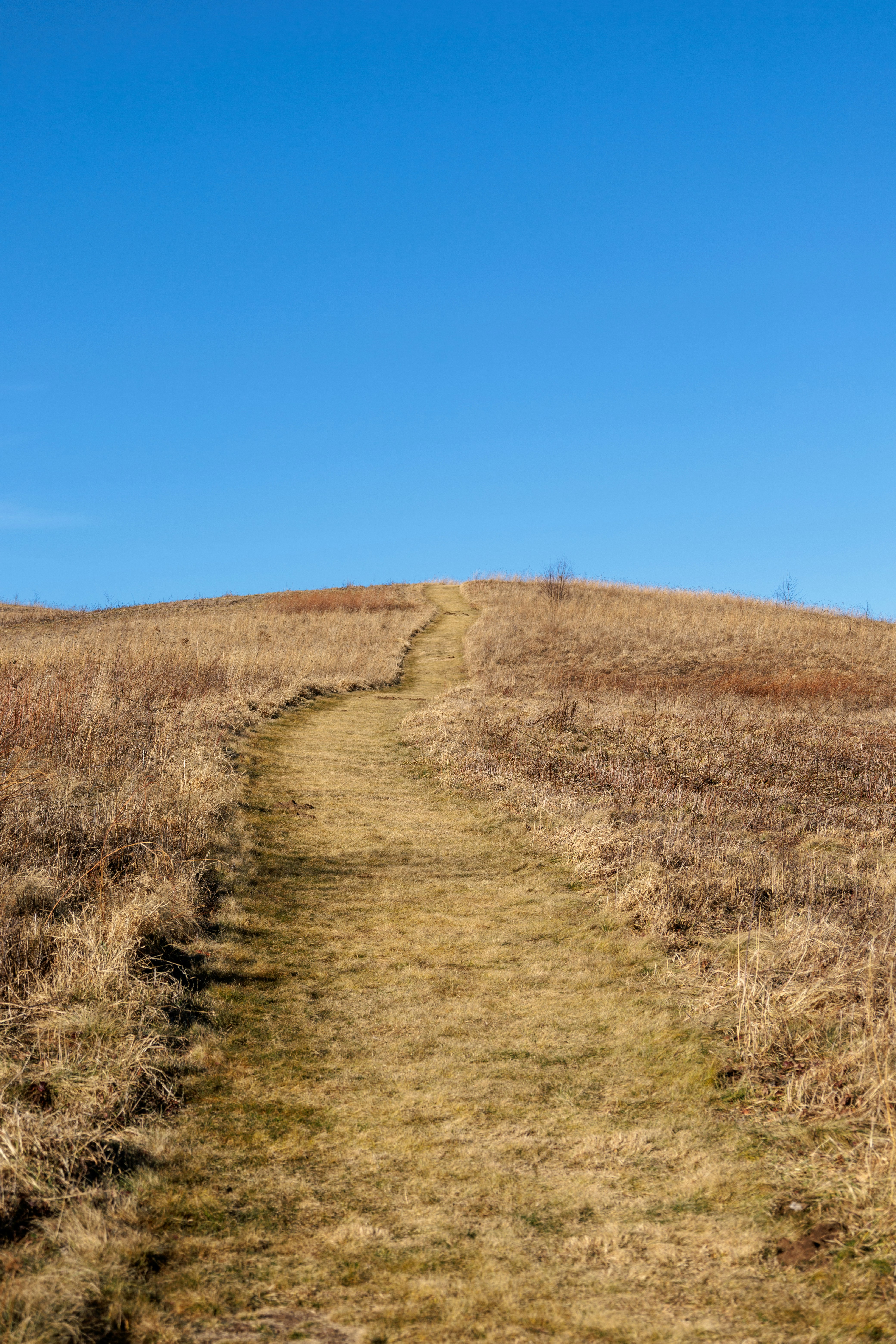 Photo by astoylov8pu758