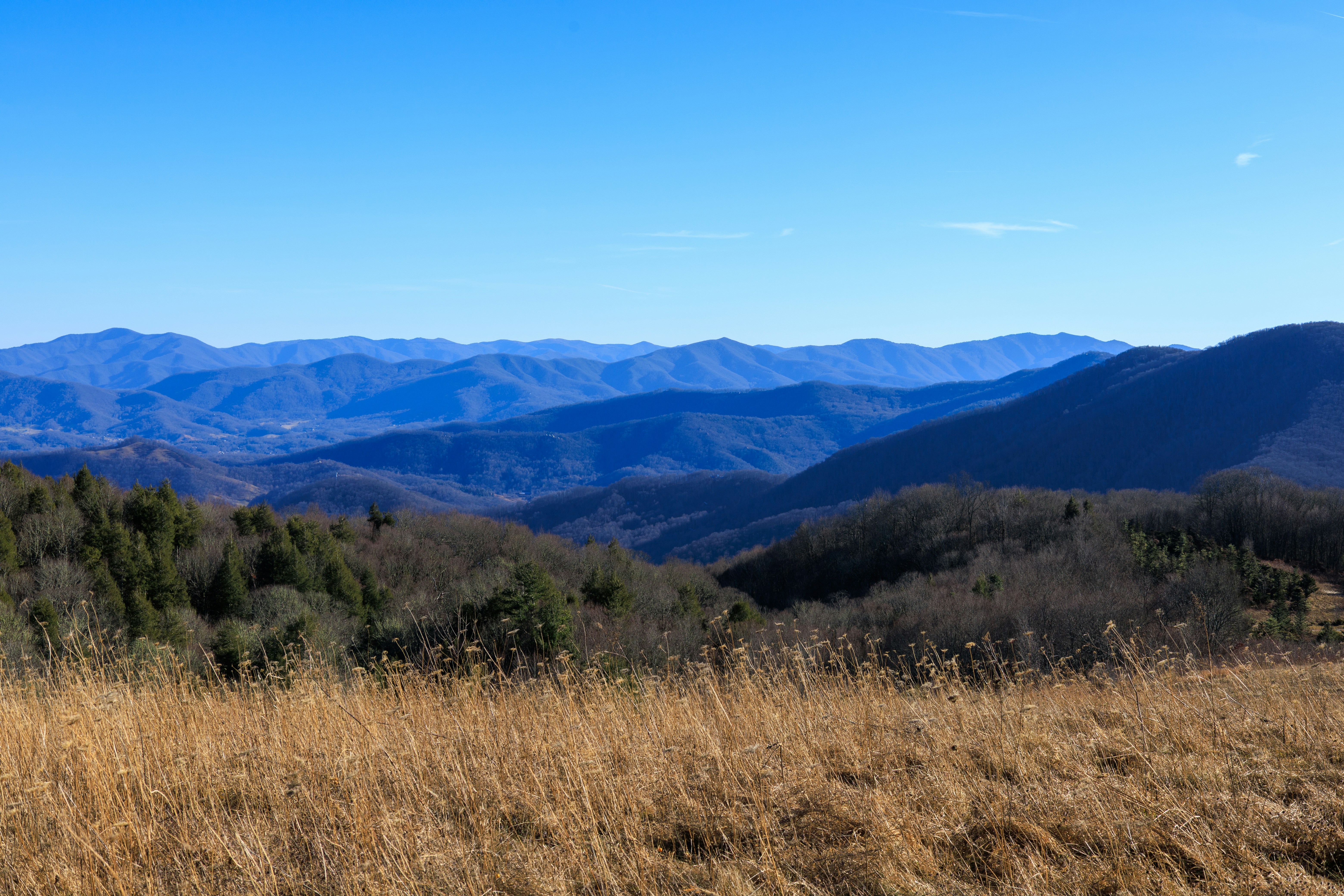 Photo by astoylov8pu758