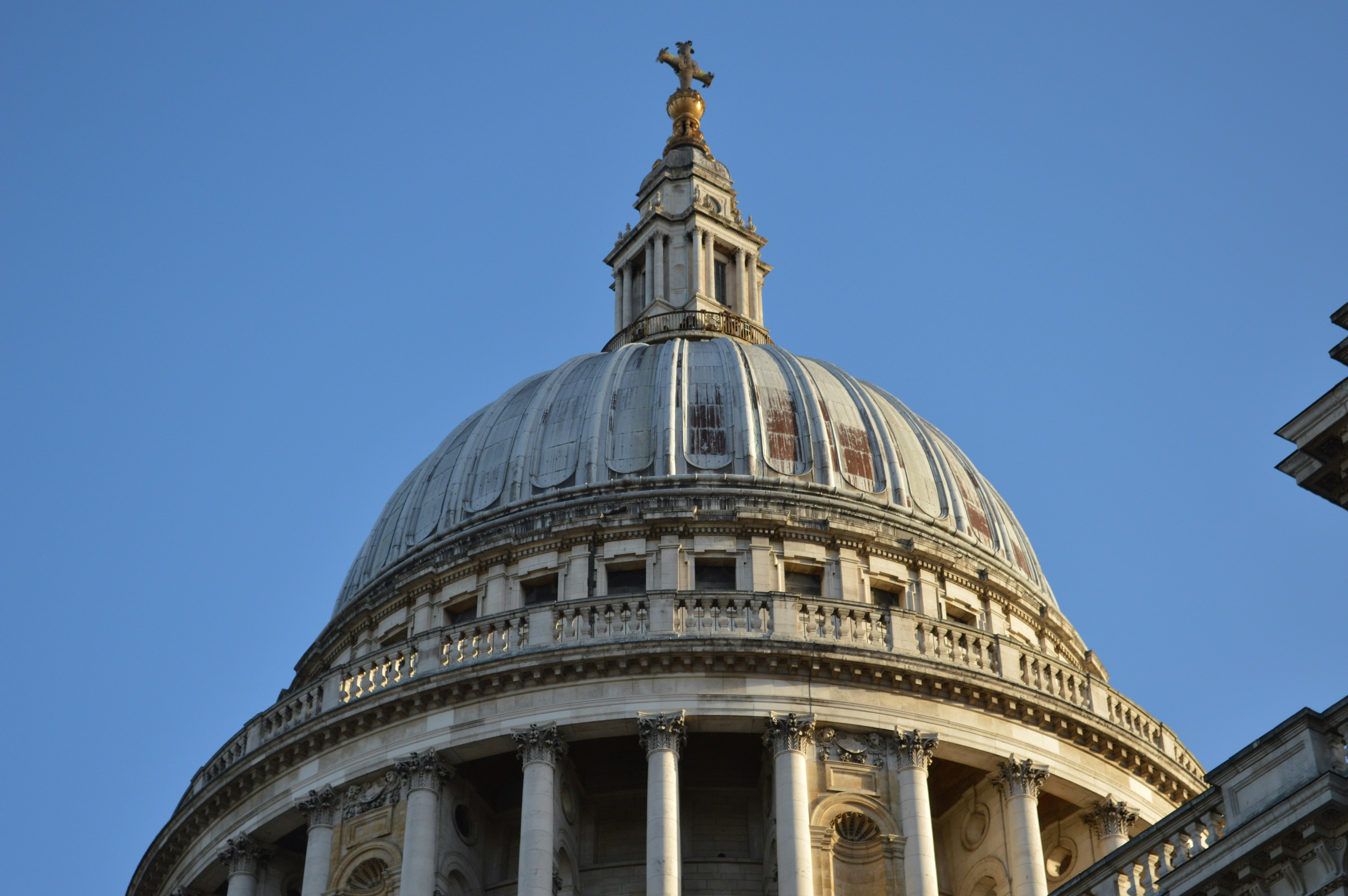 Photo by fhernandd03