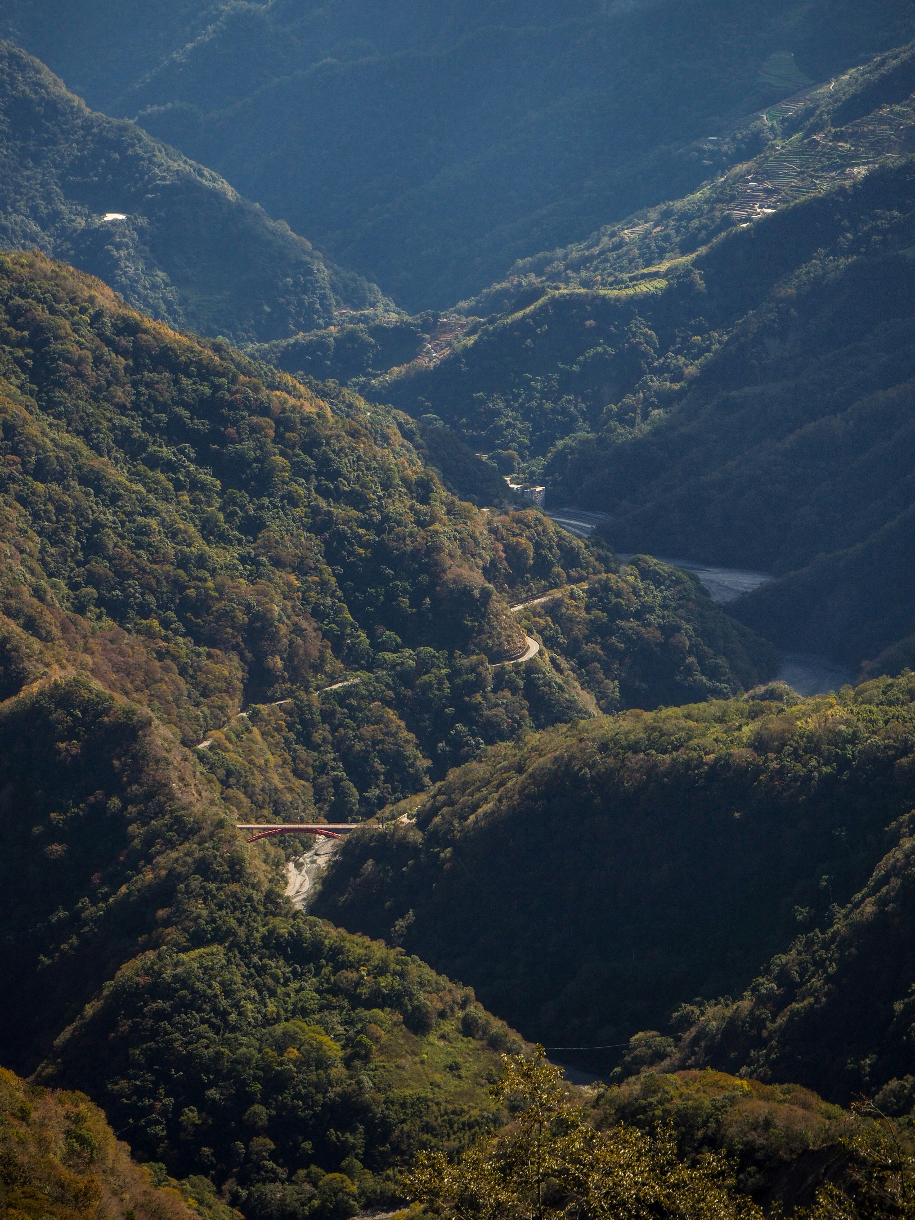 Photo by ruthietoothy