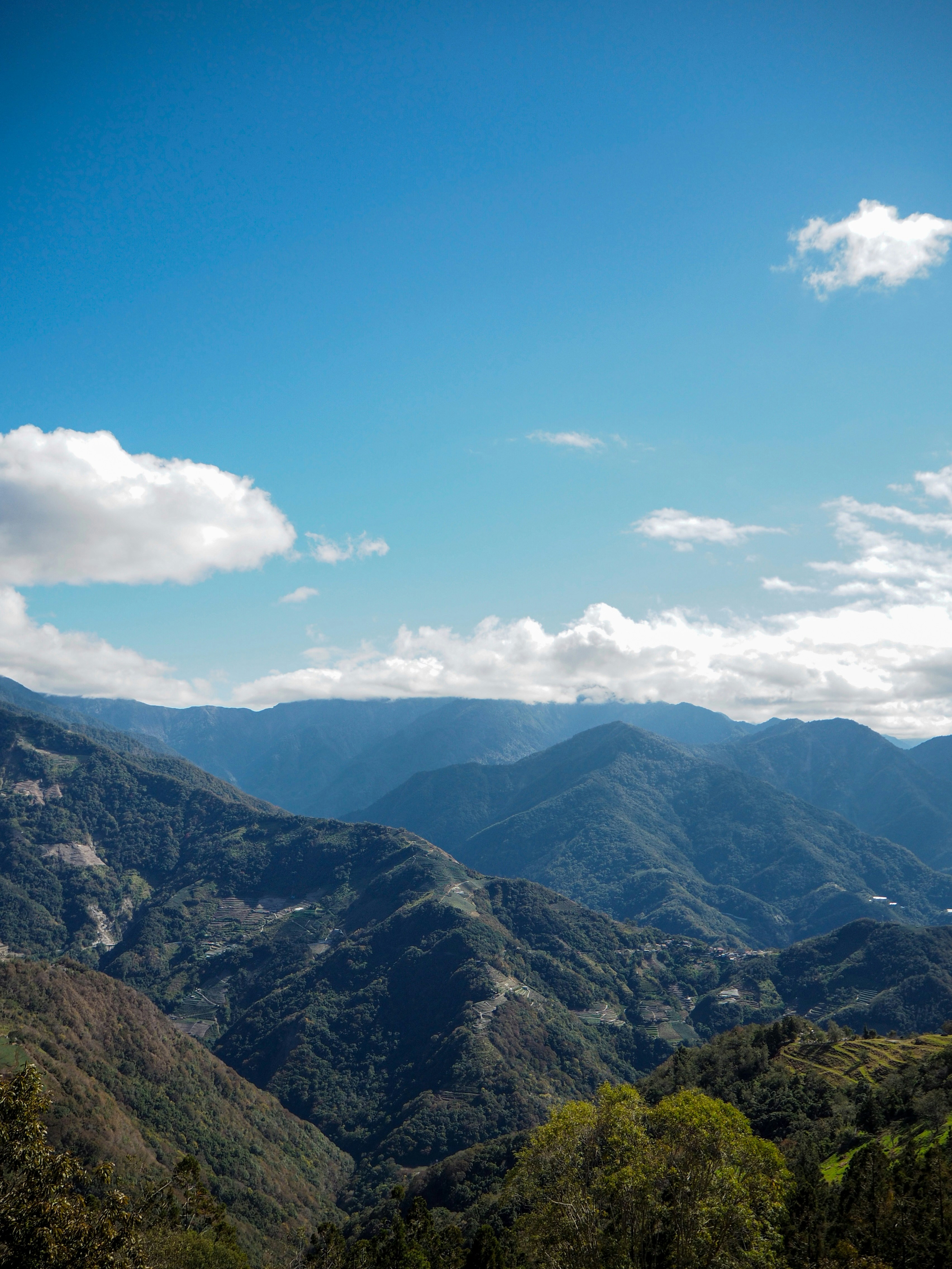 Photo by ruthietoothy