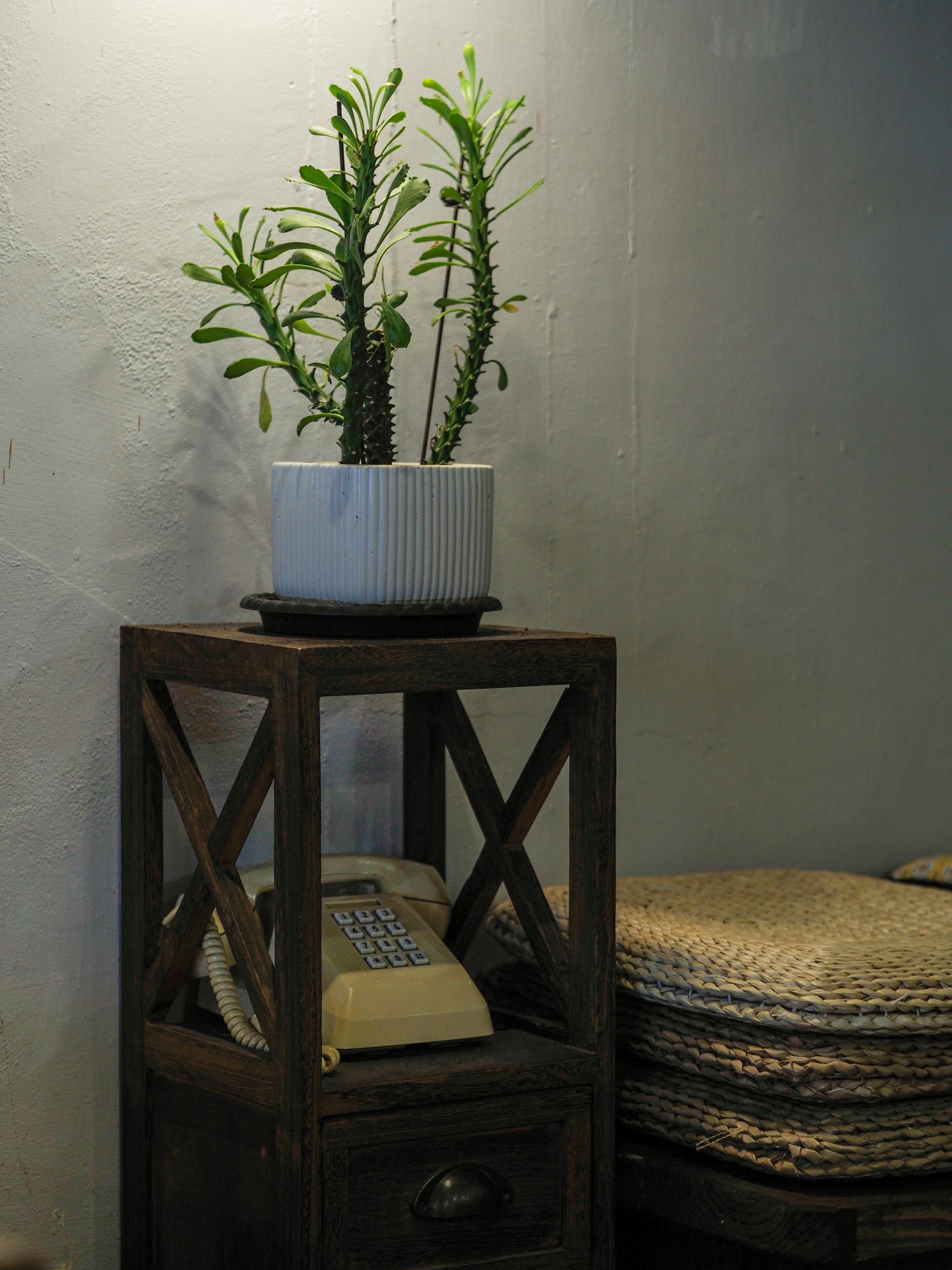 Photo by ruthietoothy