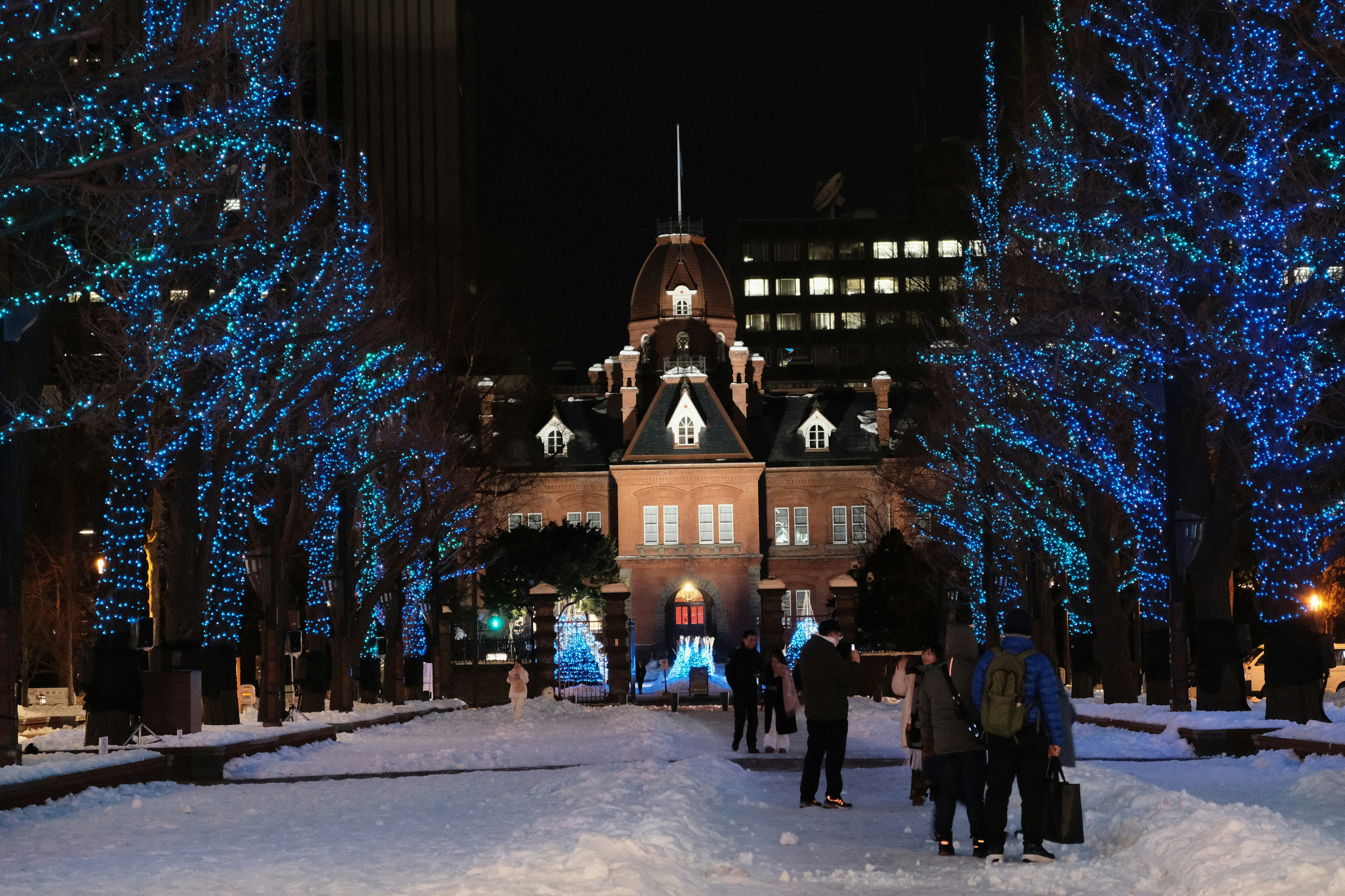 Snowy park with trees decorated in blue lights at night