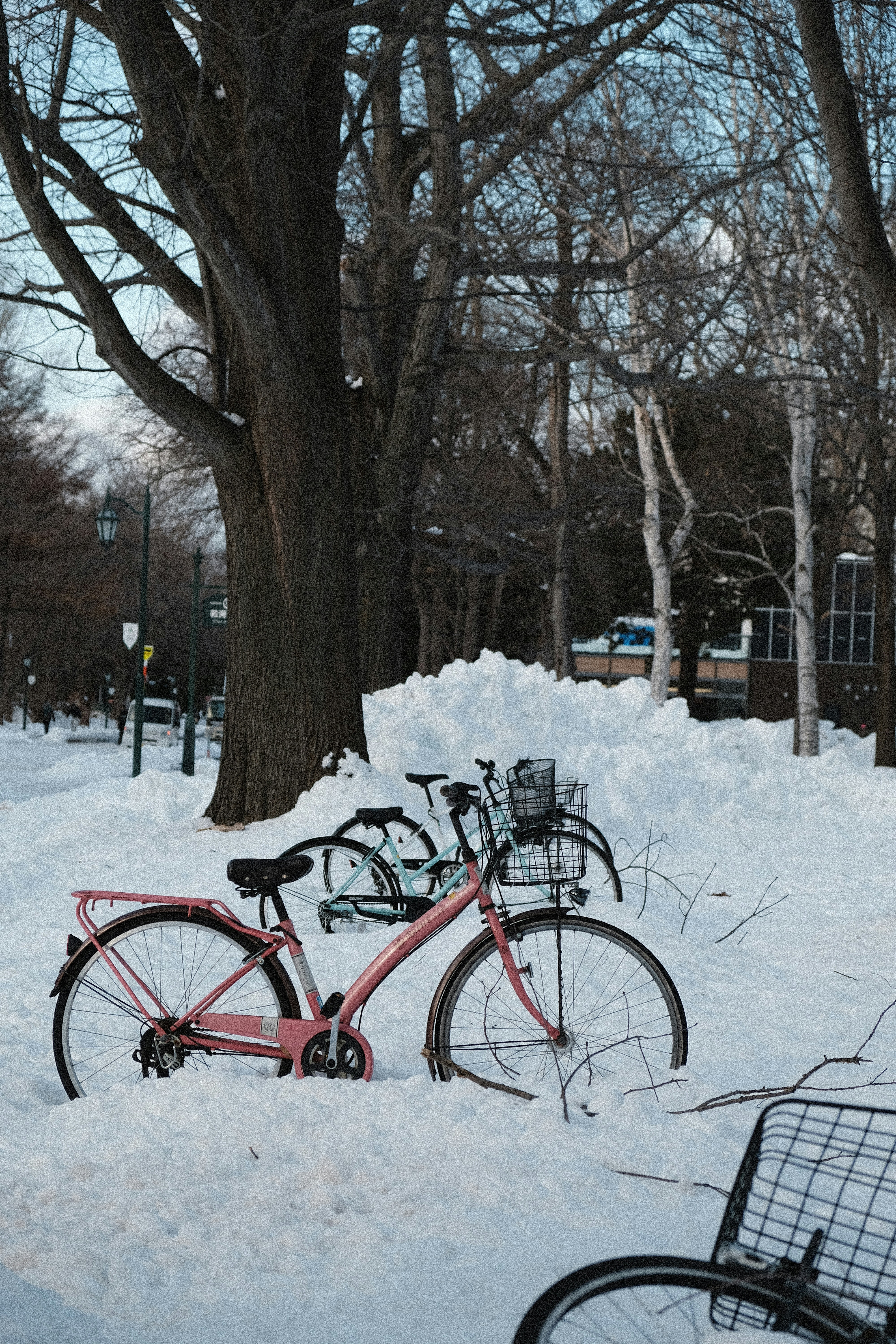 Bicycles parked in snow-covered park