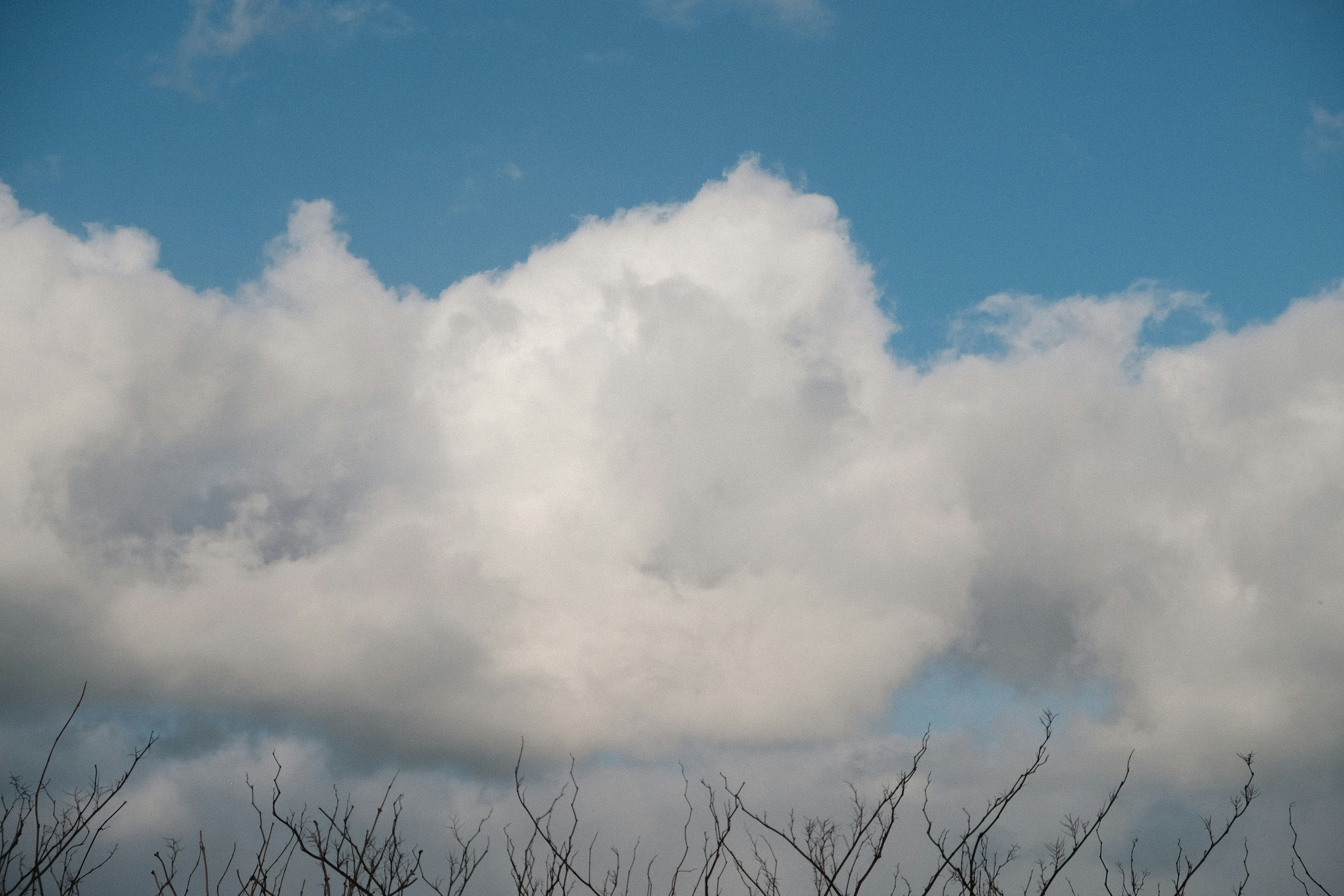 Photo by deathclutch108