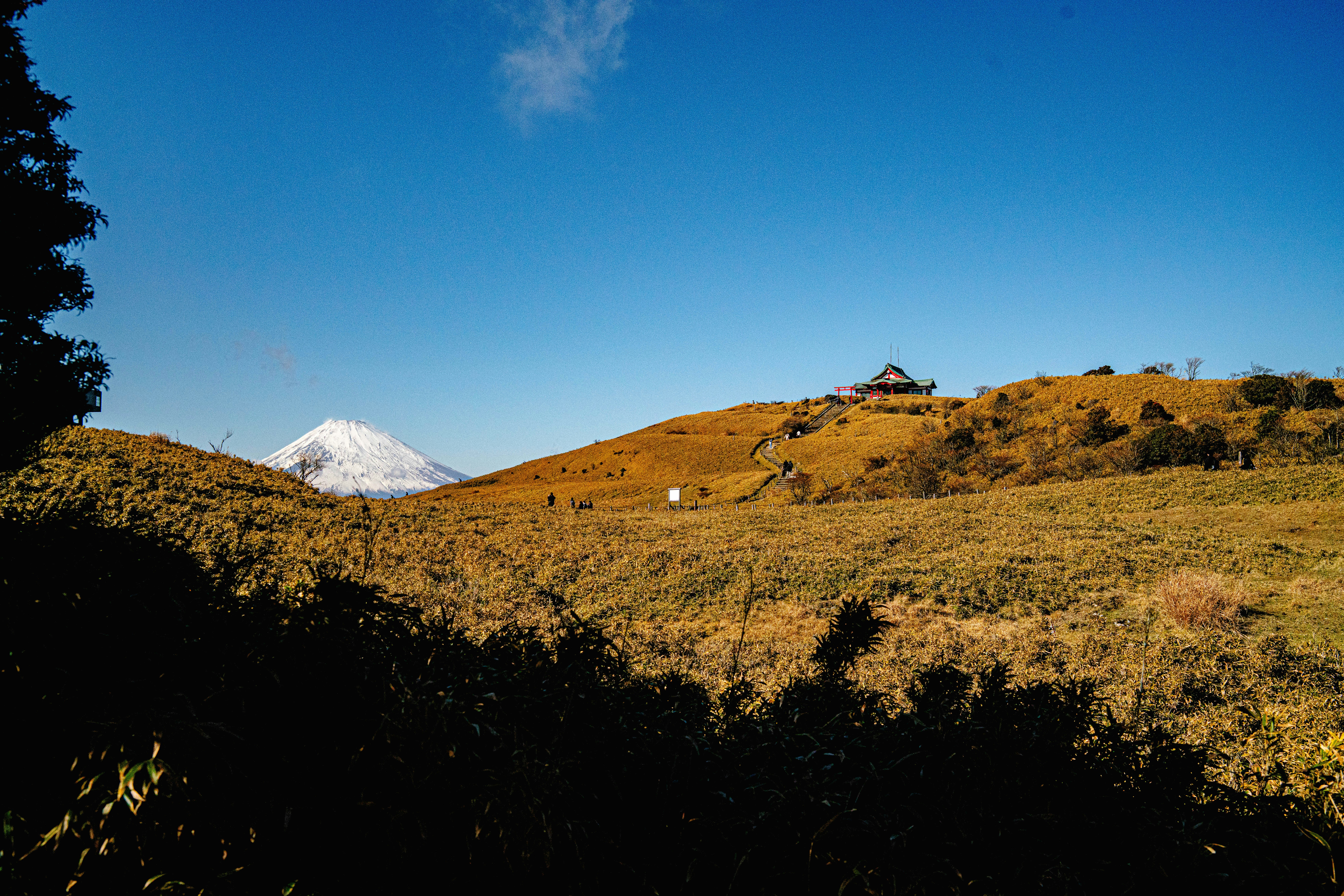 Photo by nureinjunge