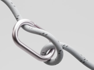 A metal carabiner attached to a rope.