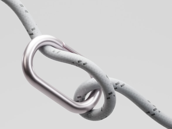 A metal carabiner attached to a rope.