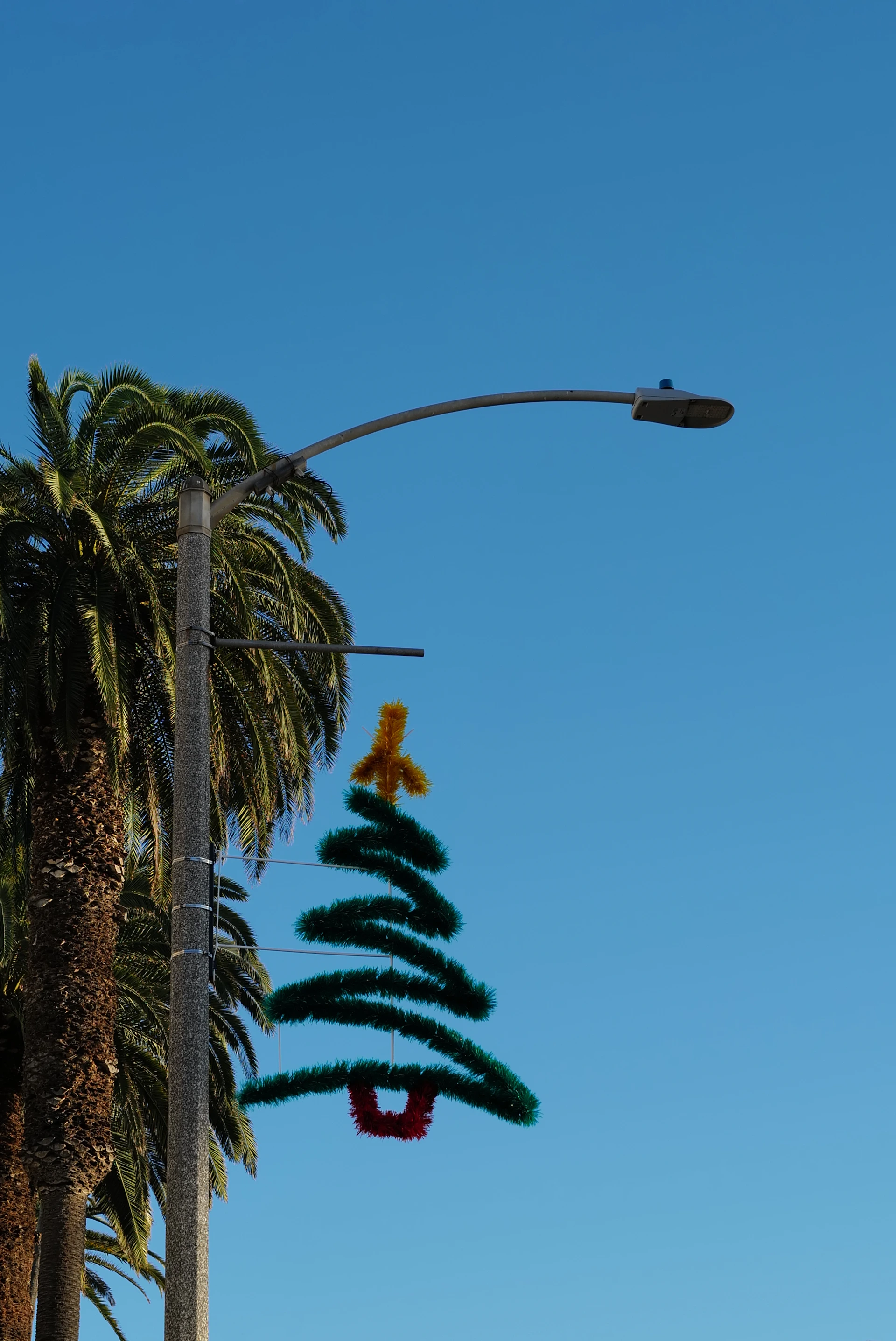 Christmas tree decoration hanging from a streetlight