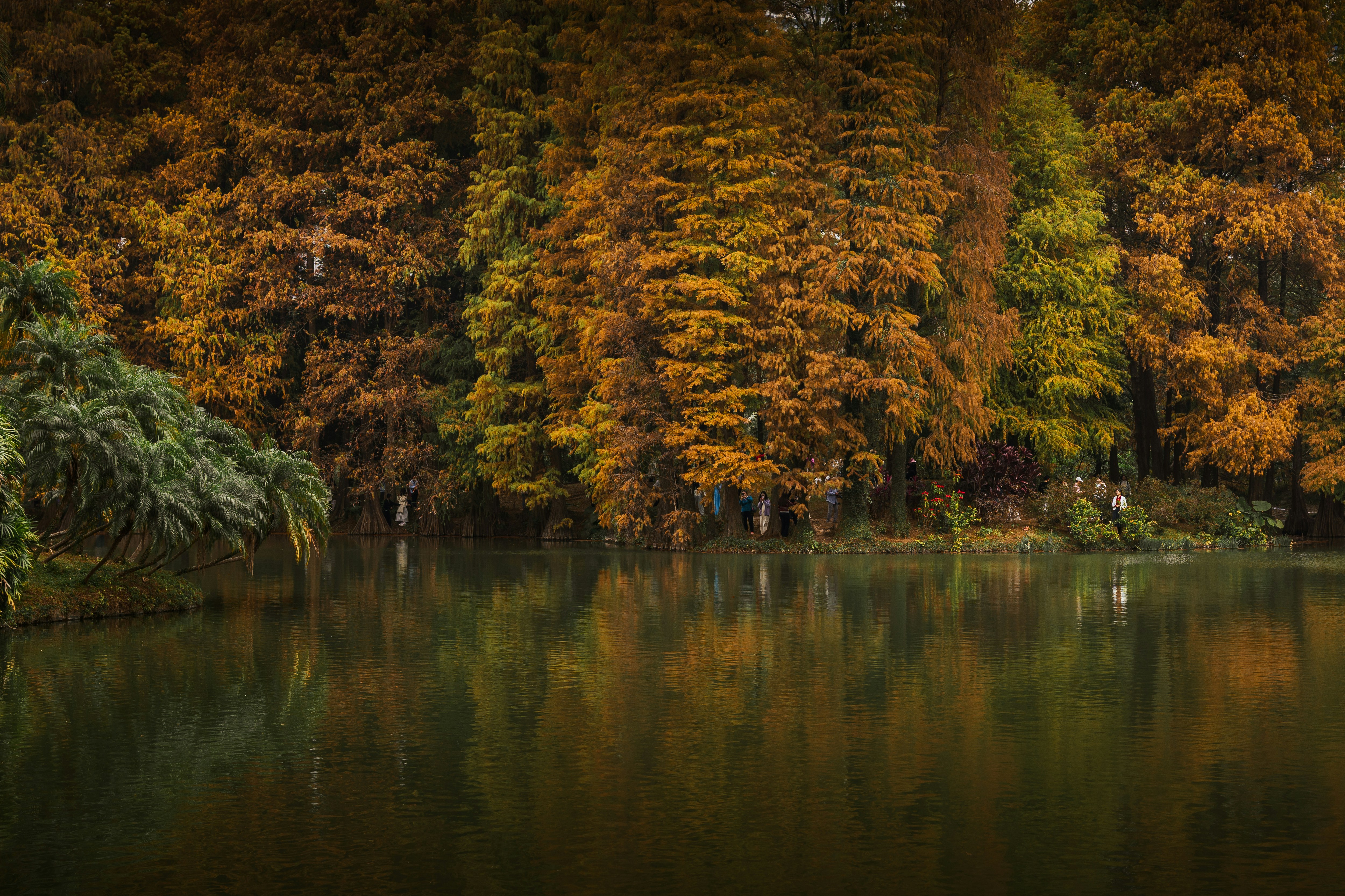 Photo by 1989folklore