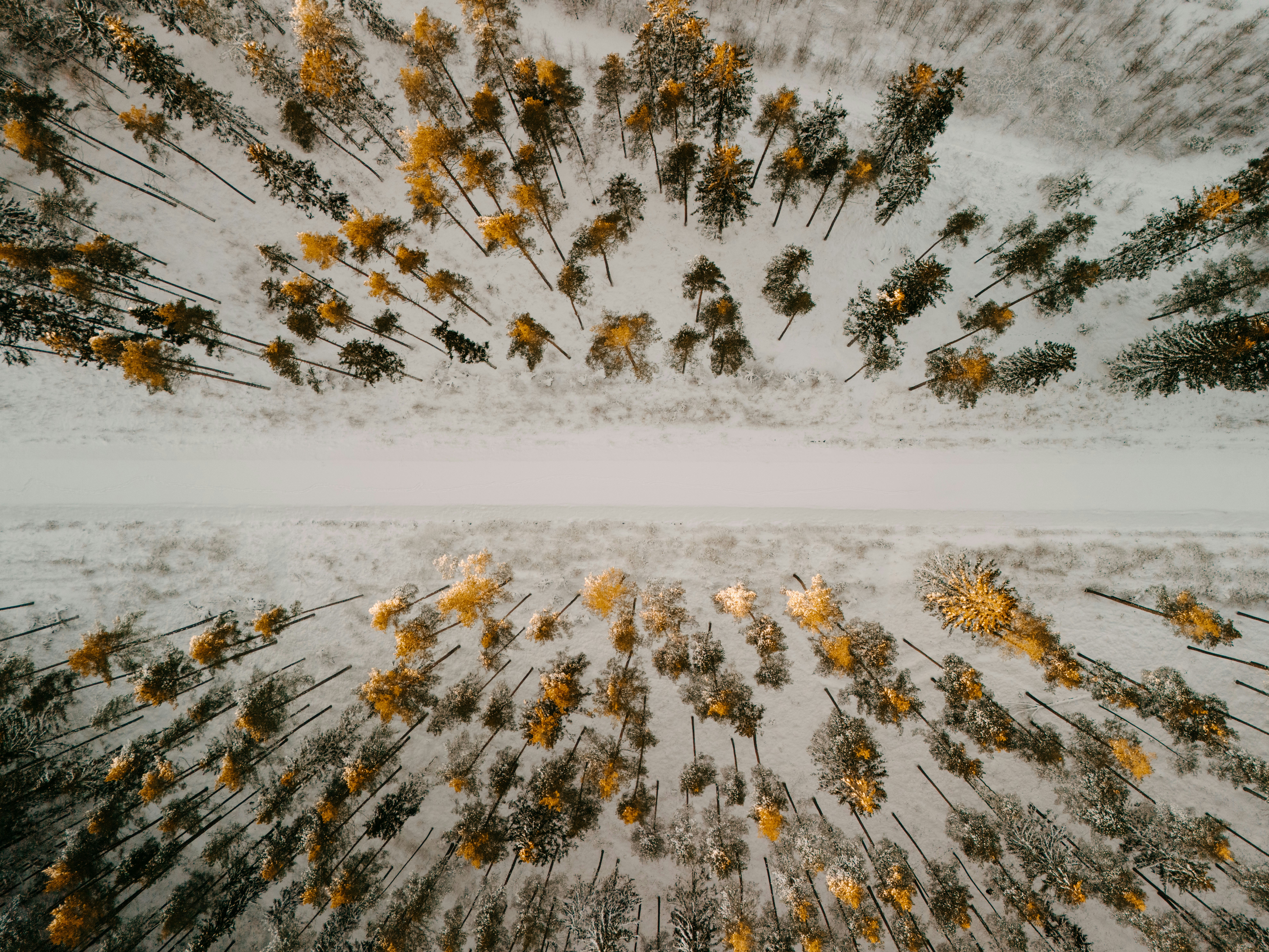 Essential Steps for Designing an Efficient Paint Line Layout